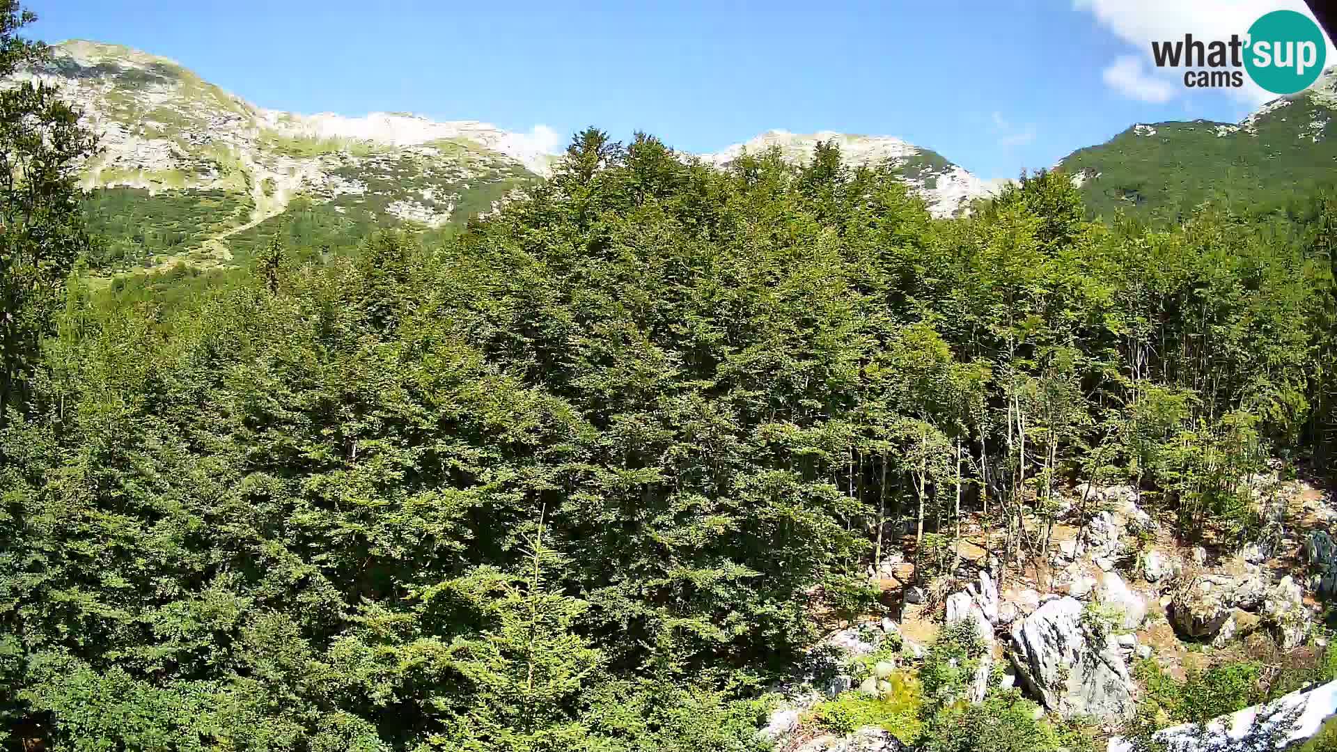 Livecam PLANINA RAZOR (1315) | vue sur Vogel et Globoko