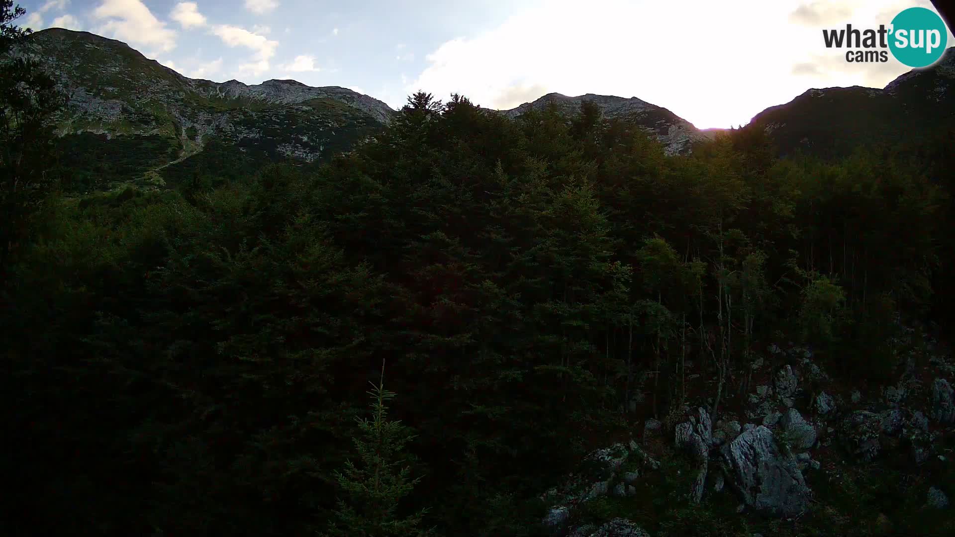 Livecam PLANINA RAZOR (1315) | vue sur Vogel et Globoko