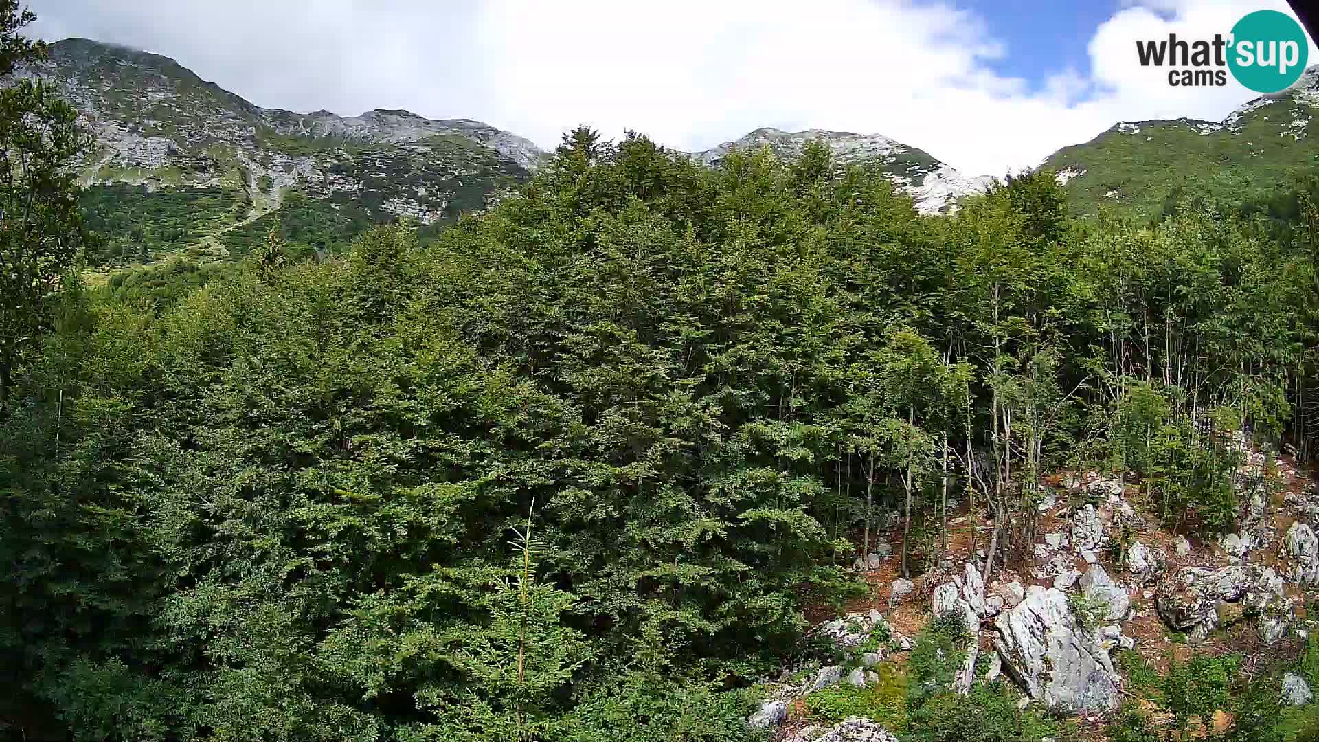 PLANINA RAZOR Live Cam (1315) | vista su Vogel e Globoko