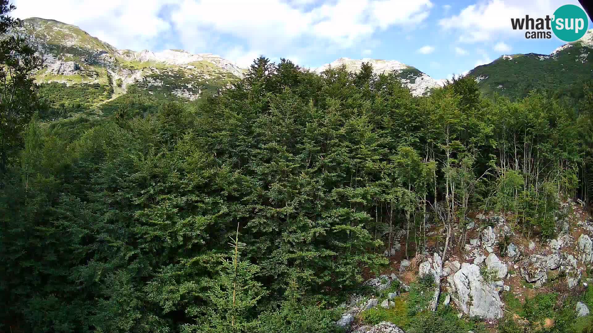 Webcam PLANINA RAZOR (1315) | Blick auf Vogel und Globoko