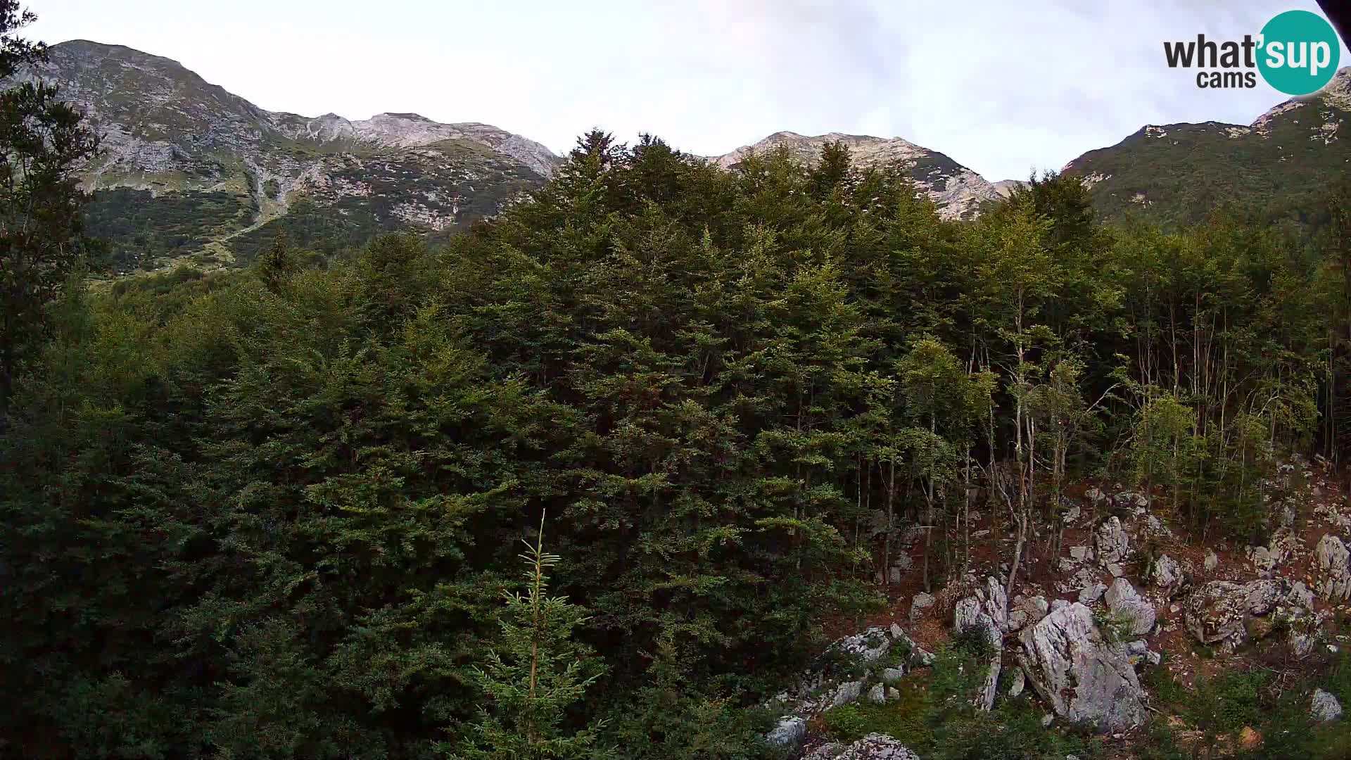 Cámara web PLANINA RAZOR (1315) | vista a Vogel y Globoko