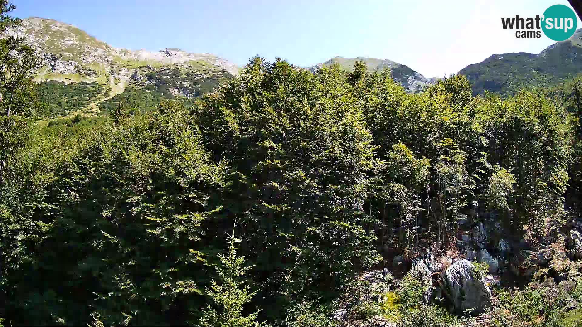 Webcam PLANINA RAZOR (1315) | Blick auf Vogel und Globoko
