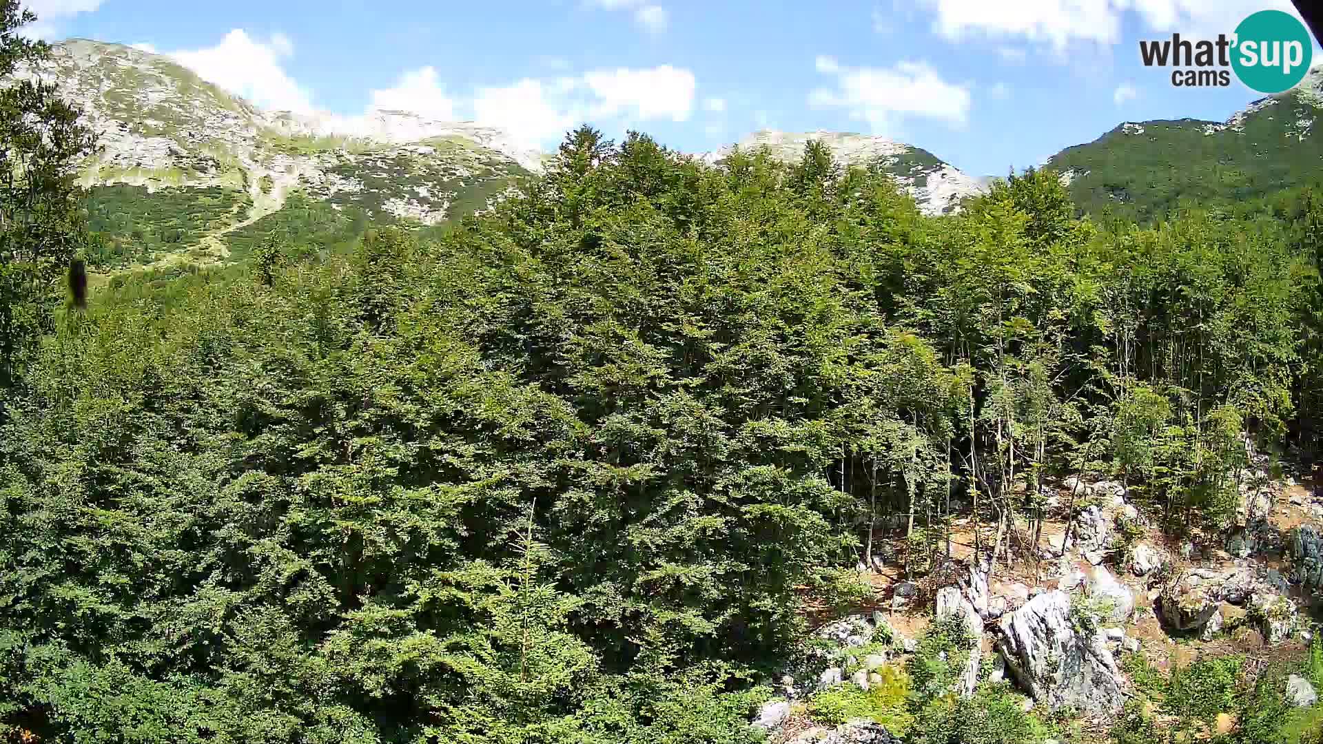 Cámara web PLANINA RAZOR (1315) | vista a Vogel y Globoko