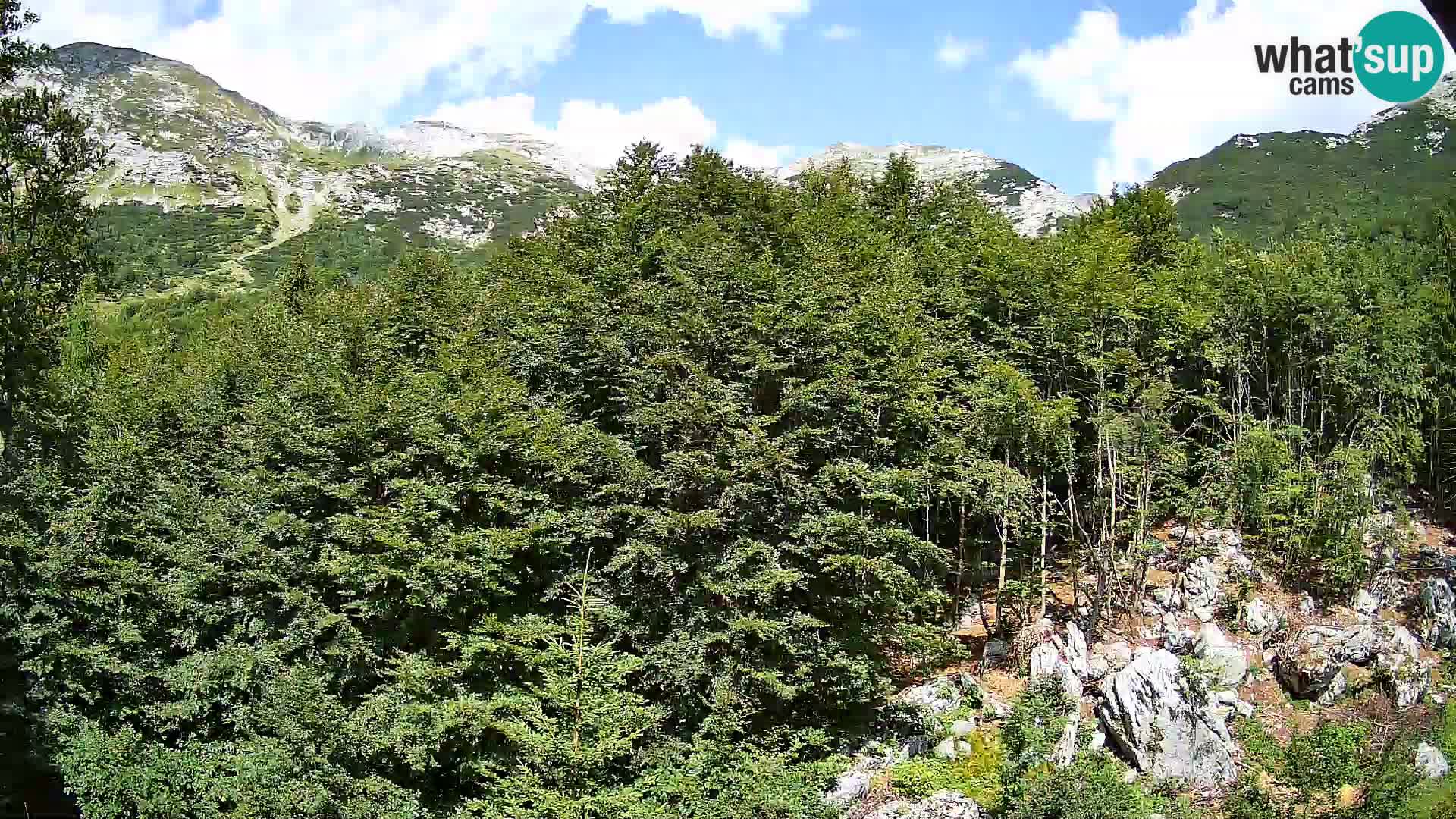 PLANINA RAZOR Live Cam (1315) | vista su Vogel e Globoko