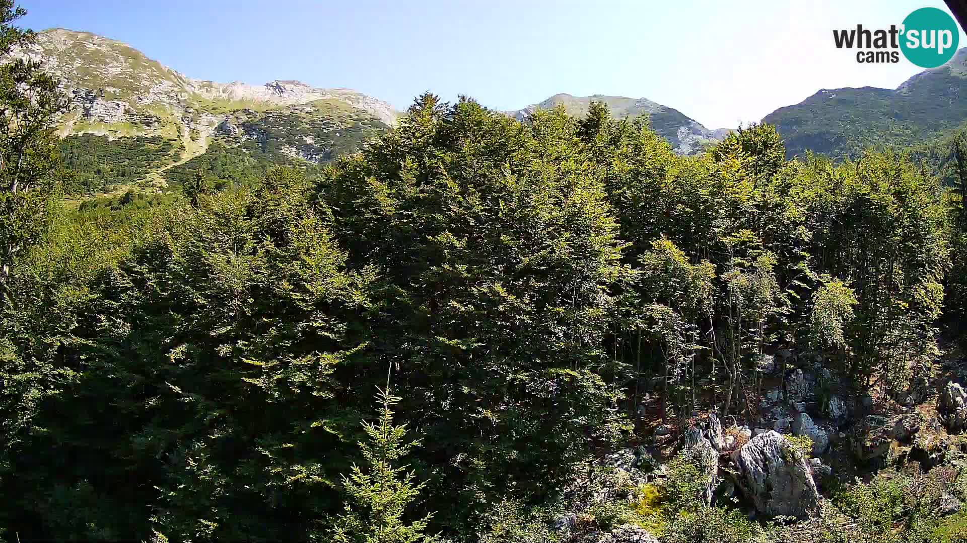 PLANINA RAZOR kamera (1315) | pogled na Vogel in Globoko