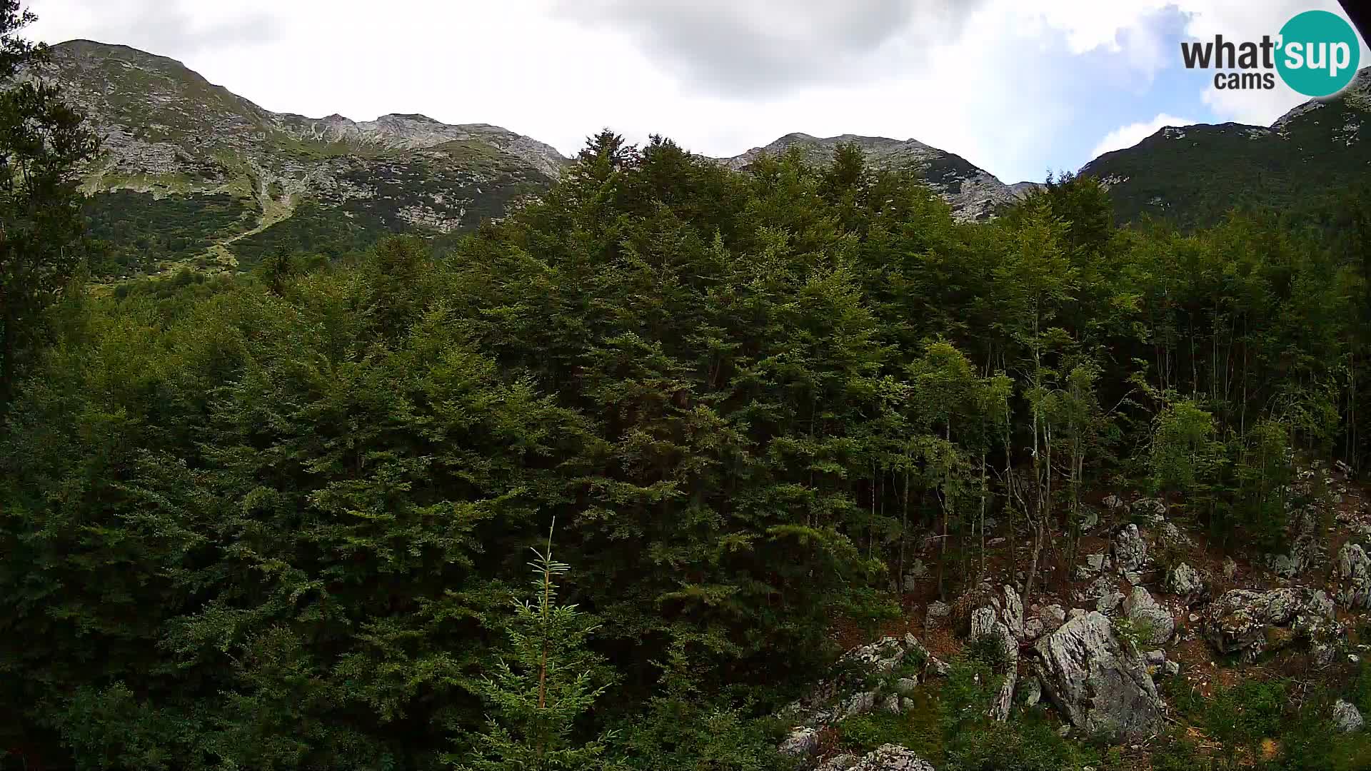 PLANINA RAZOR web kamera (1315) | pogled na Vogel i Globoko