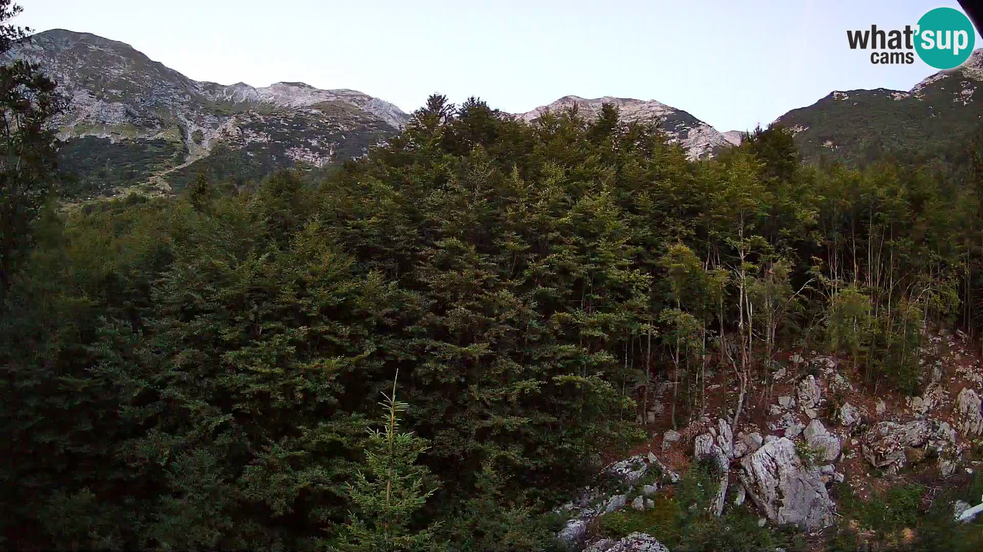 PLANINA RAZOR Live Cam (1315) | vista su Vogel e Globoko