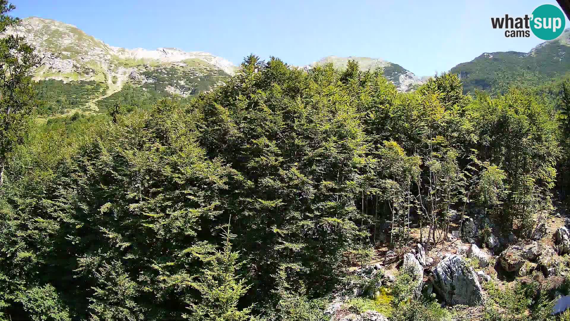 PLANINA RAZOR web kamera (1315) | pogled na Vogel i Globoko