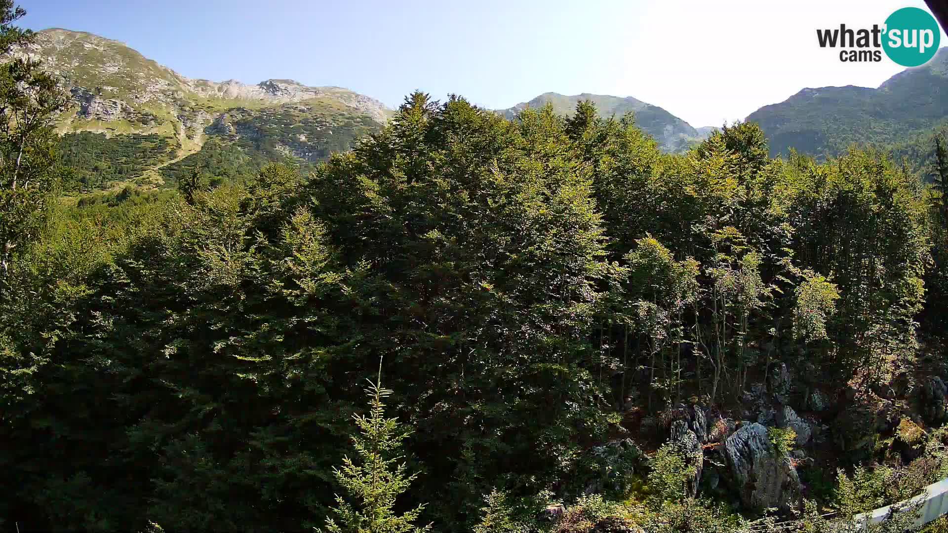 PLANINA RAZOR Live Cam (1315) | vista su Vogel e Globoko