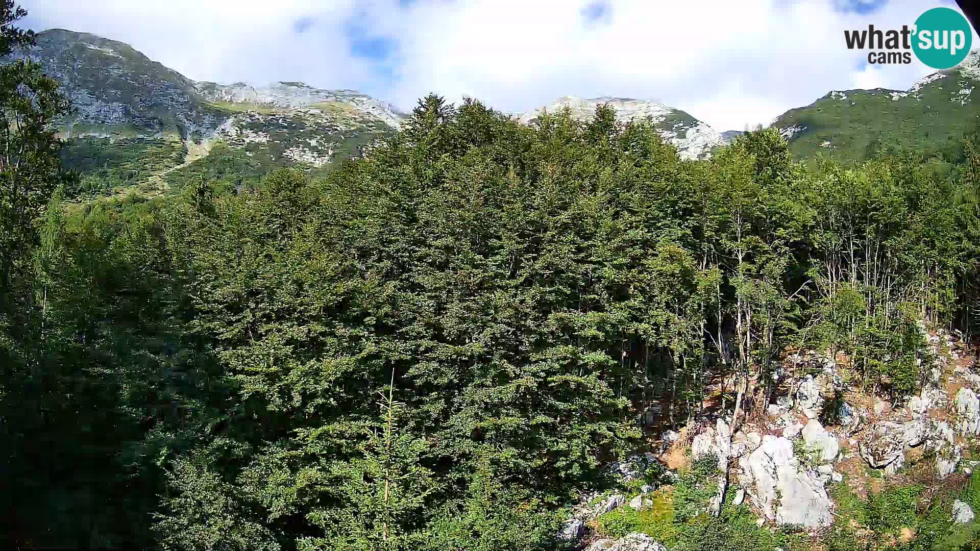PLANINA RAZOR kamera (1315) | pogled na Vogel in Globoko