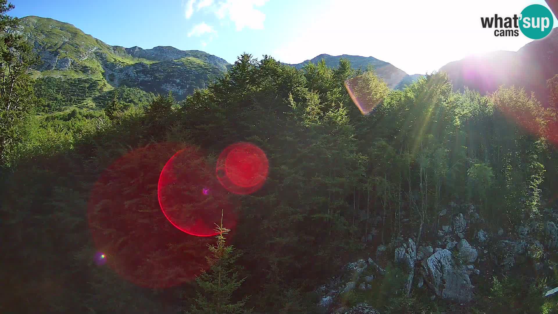 PLANINA RAZOR web kamera (1315) | pogled na Vogel i Globoko