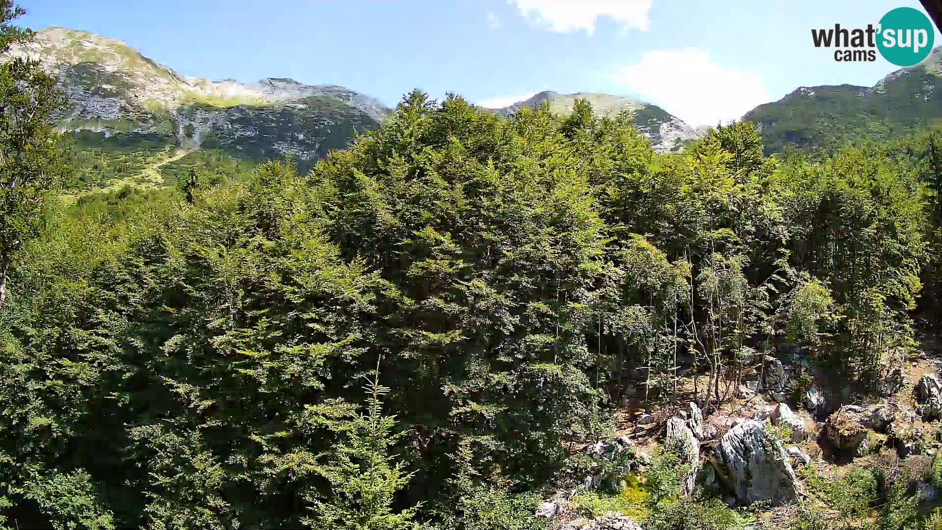 Cámara web PLANINA RAZOR (1315) | vista a Vogel y Globoko