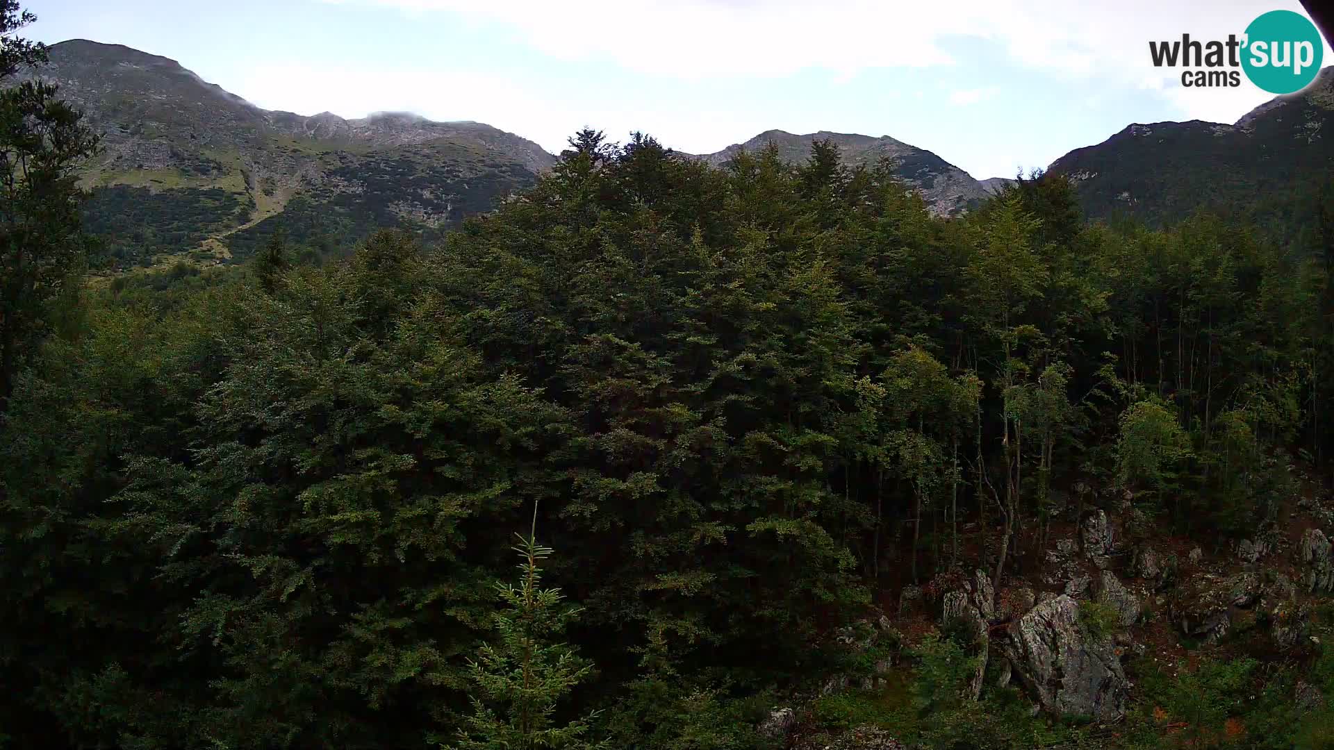 PLANINA RAZOR Live Cam (1315) | vista su Vogel e Globoko