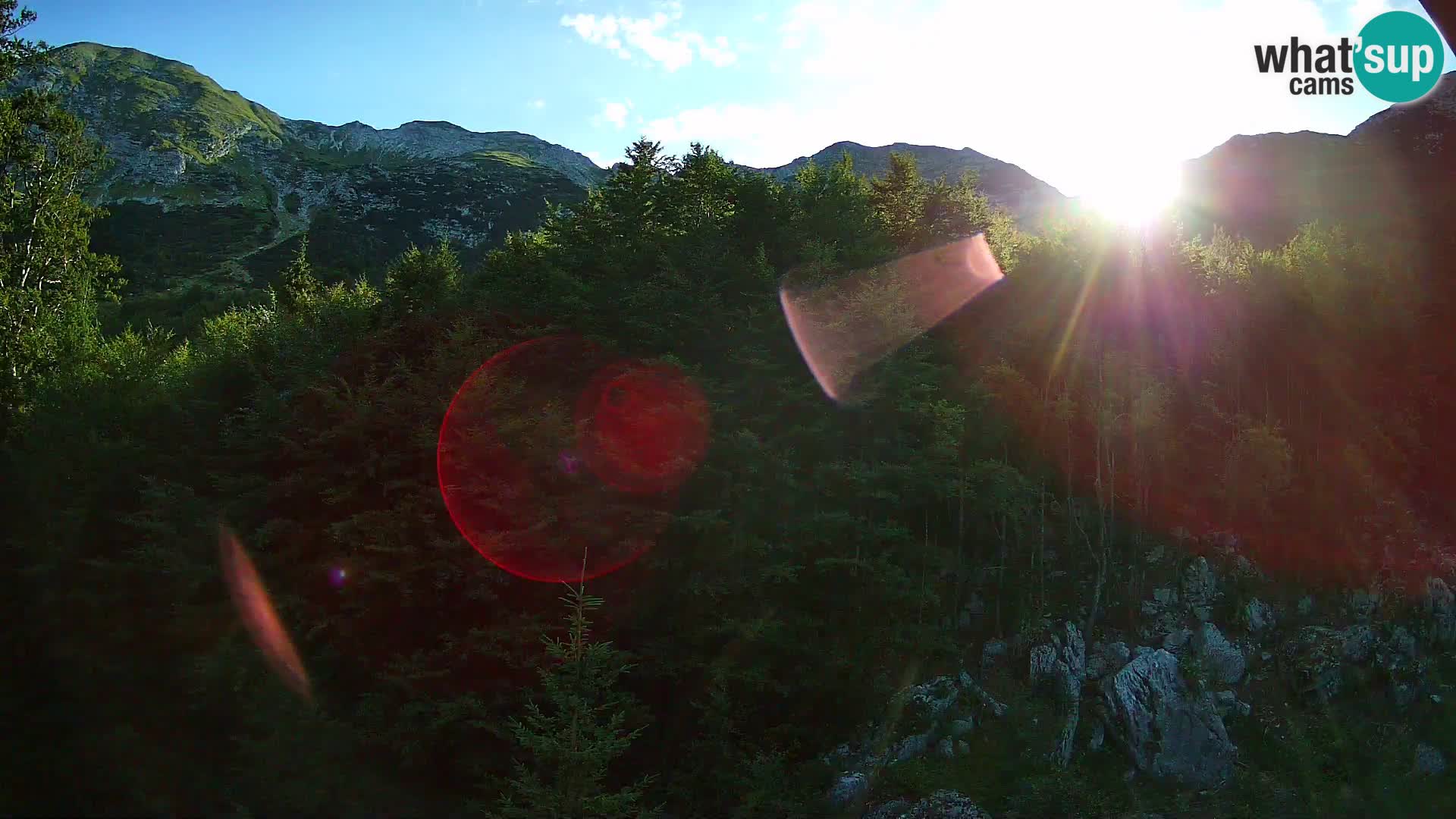 Webcam PLANINA RAZOR (1315) | Blick auf Vogel und Globoko