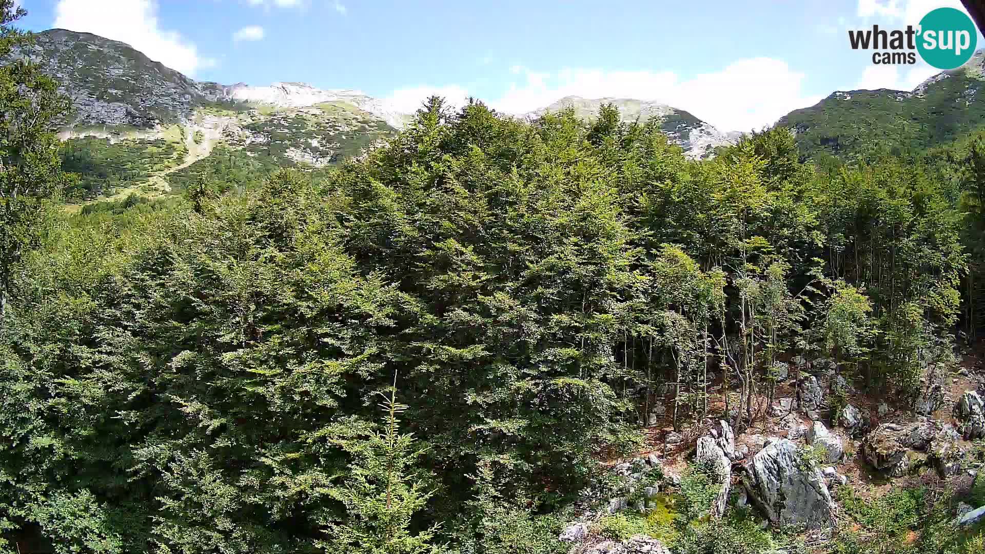 Livecam PLANINA RAZOR (1315) | vue sur Vogel et Globoko