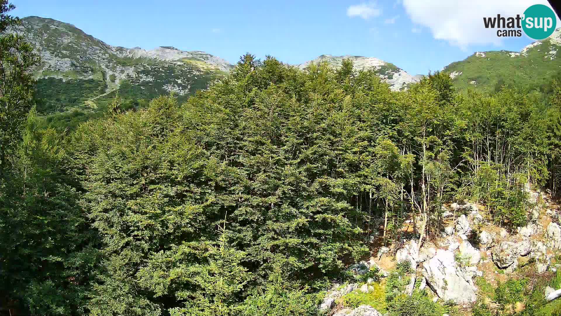 Cámara web PLANINA RAZOR (1315) | vista a Vogel y Globoko