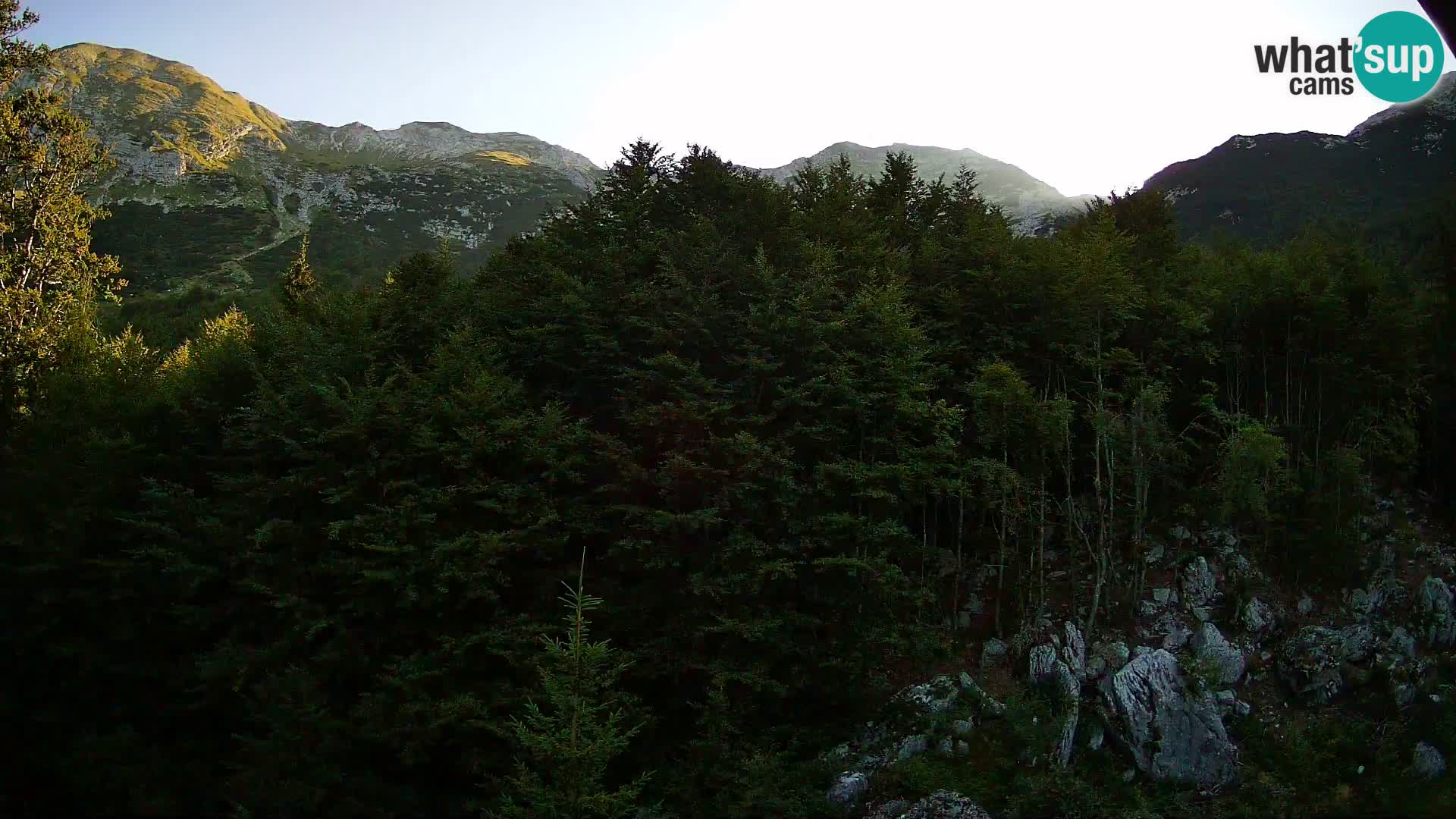 Webcam PLANINA RAZOR (1315) | Blick auf Vogel und Globoko