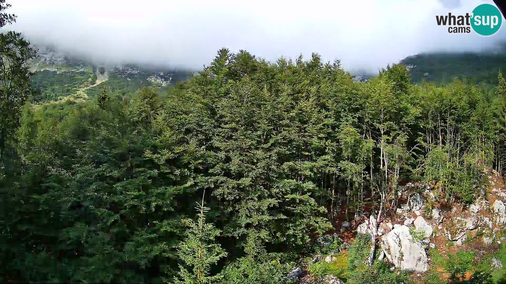 Webcam PLANINA RAZOR (1315) | Blick auf Vogel und Globoko