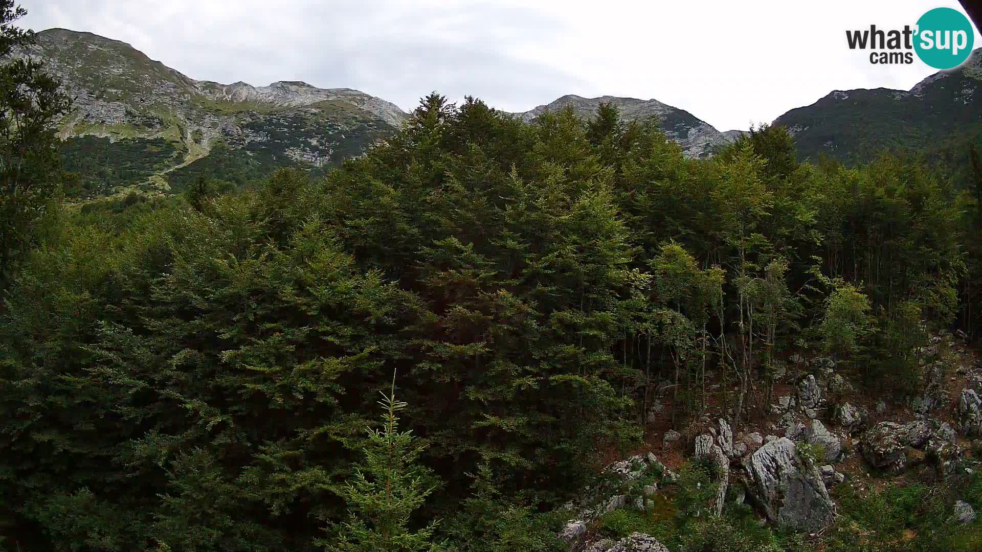PLANINA RAZOR webcam (1315) | view to Vogel and Globoko