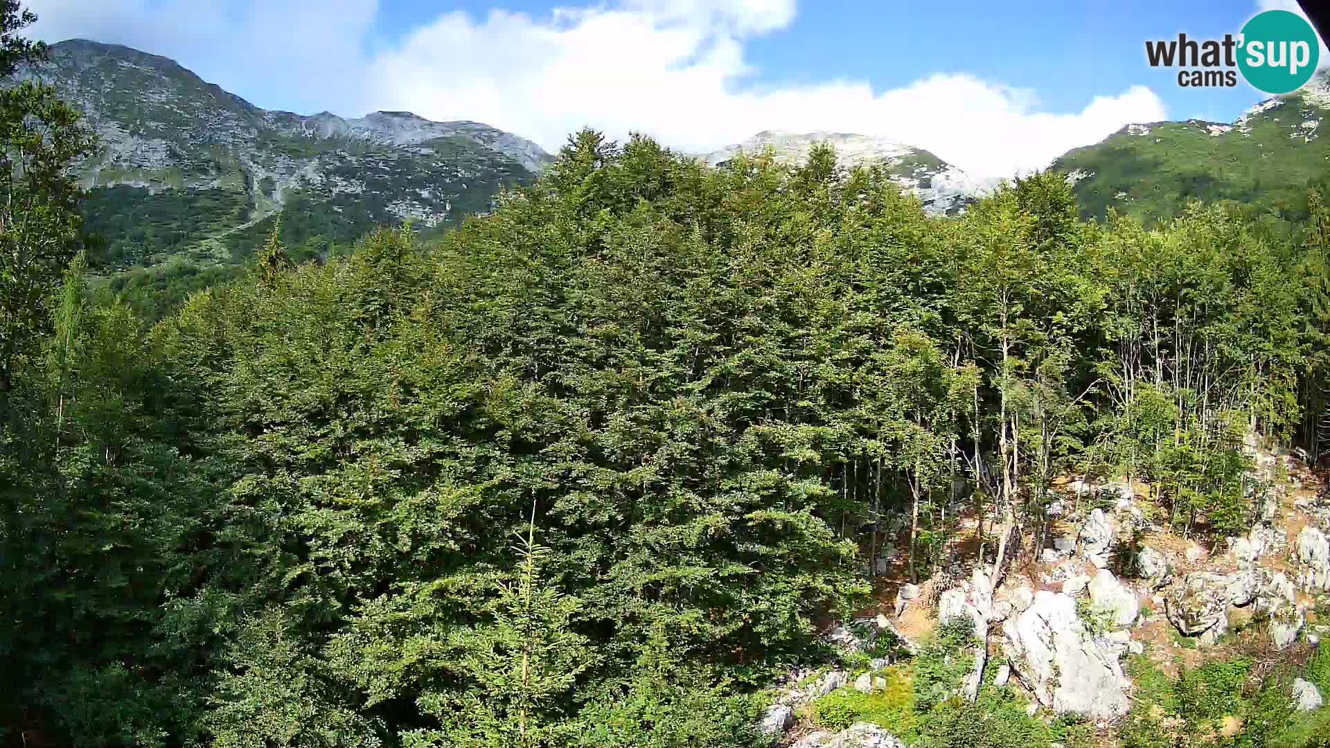 PLANINA RAZOR webcam (1315) | view to Vogel and Globoko