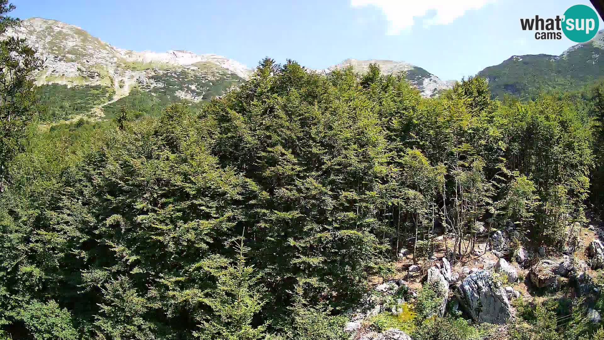PLANINA RAZOR Live Cam (1315) | vista su Vogel e Globoko