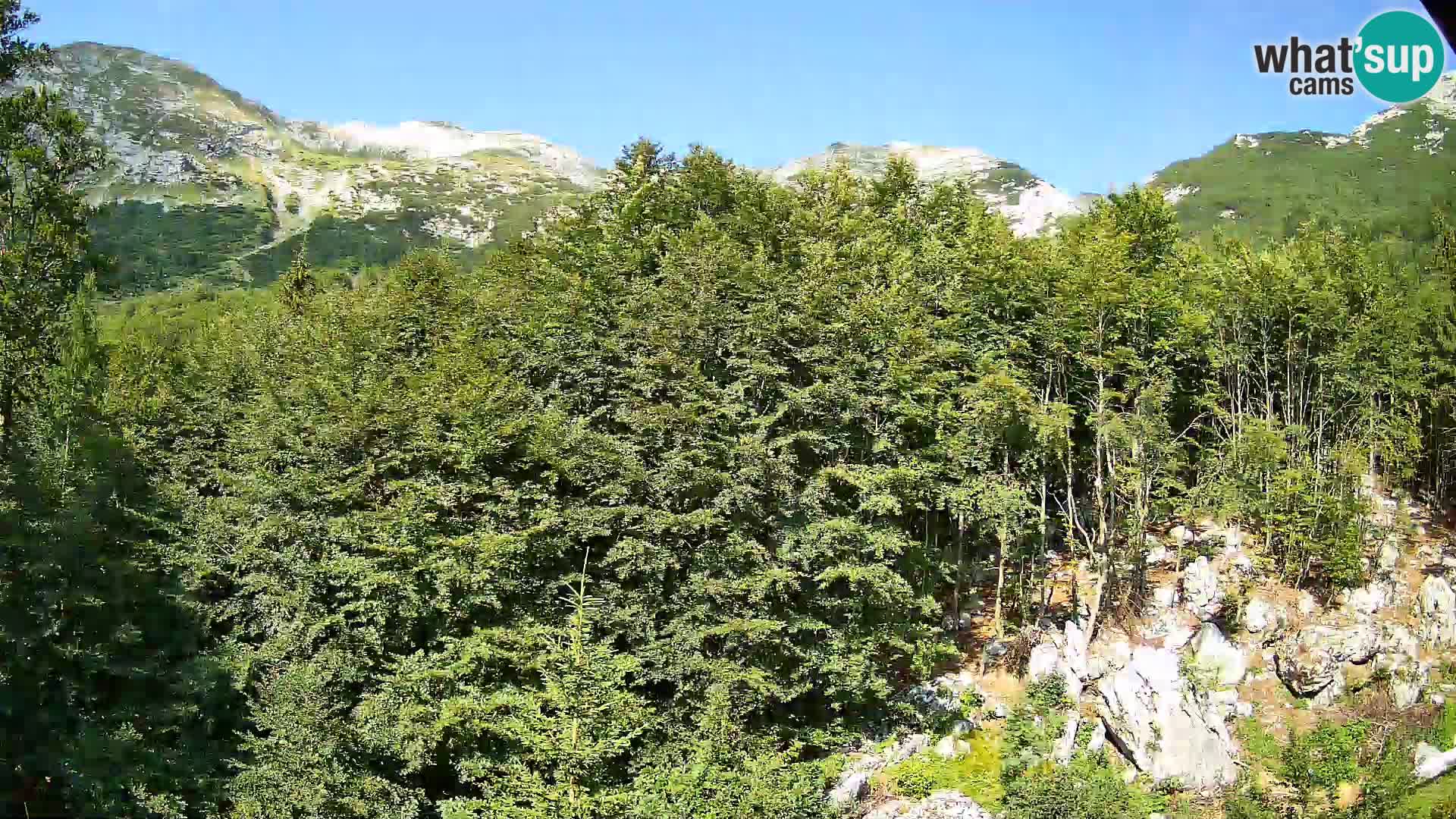 Webcam PLANINA RAZOR (1315) | Blick auf Vogel und Globoko