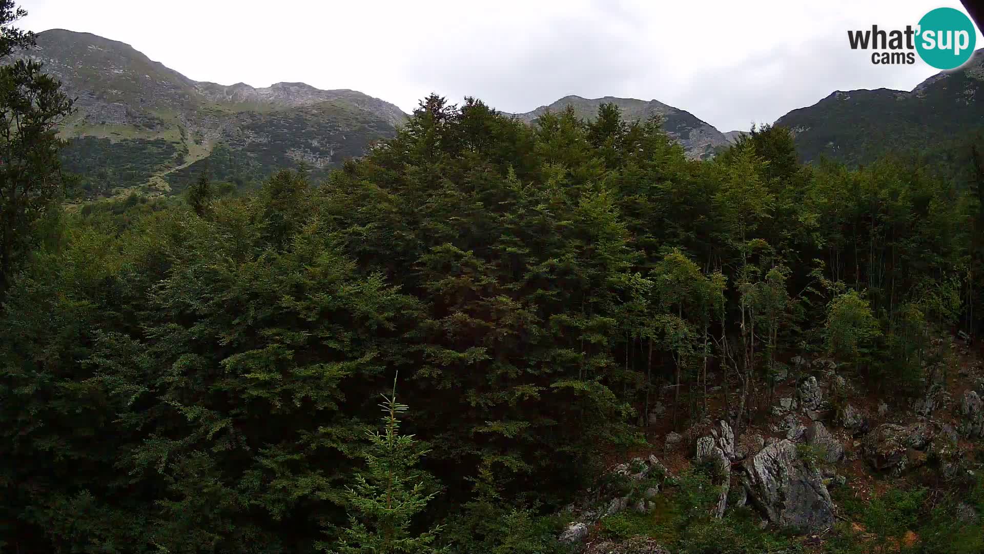 PLANINA RAZOR Live Cam (1315) | vista su Vogel e Globoko