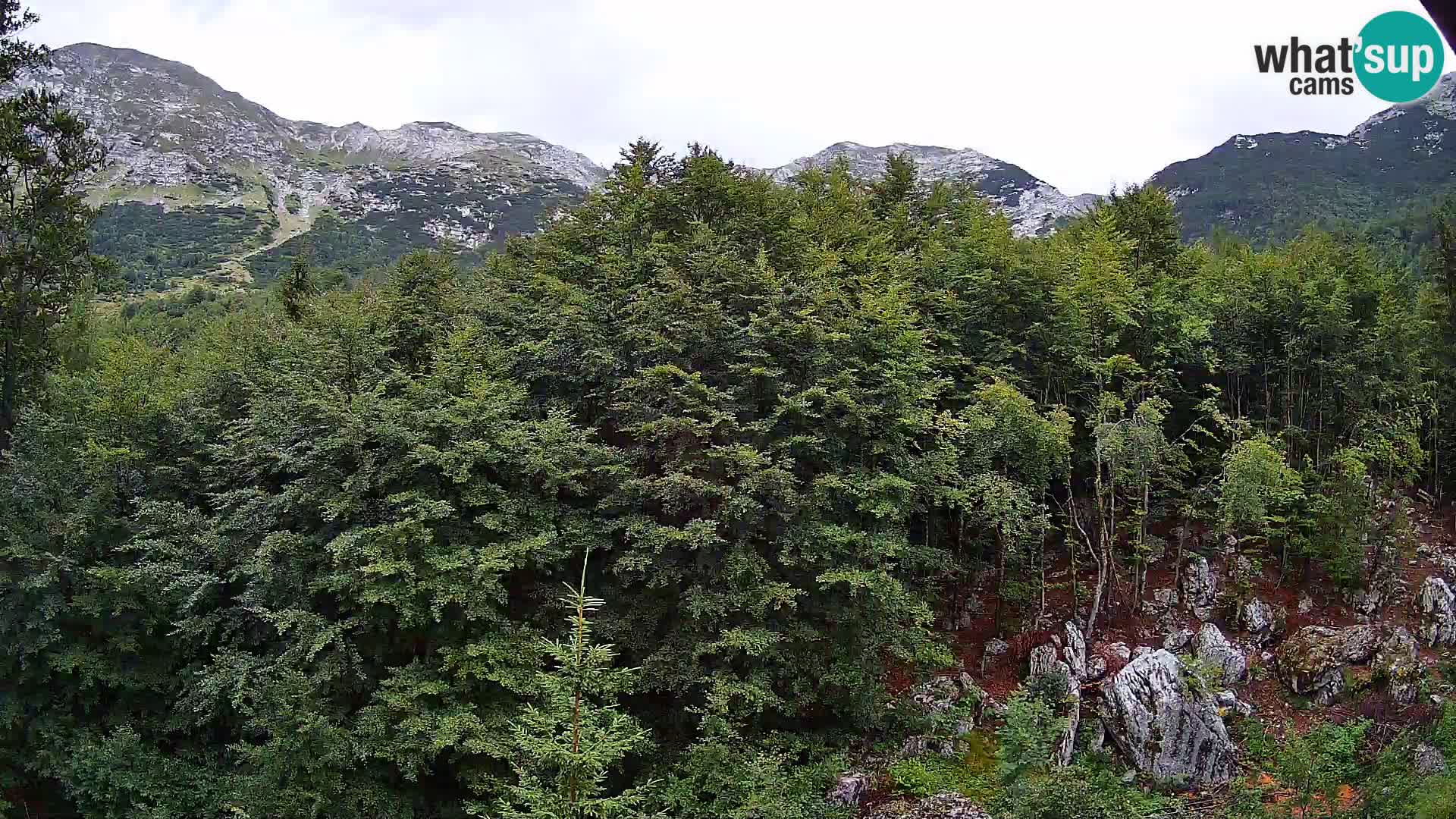 Livecam PLANINA RAZOR (1315) | vue sur Vogel et Globoko