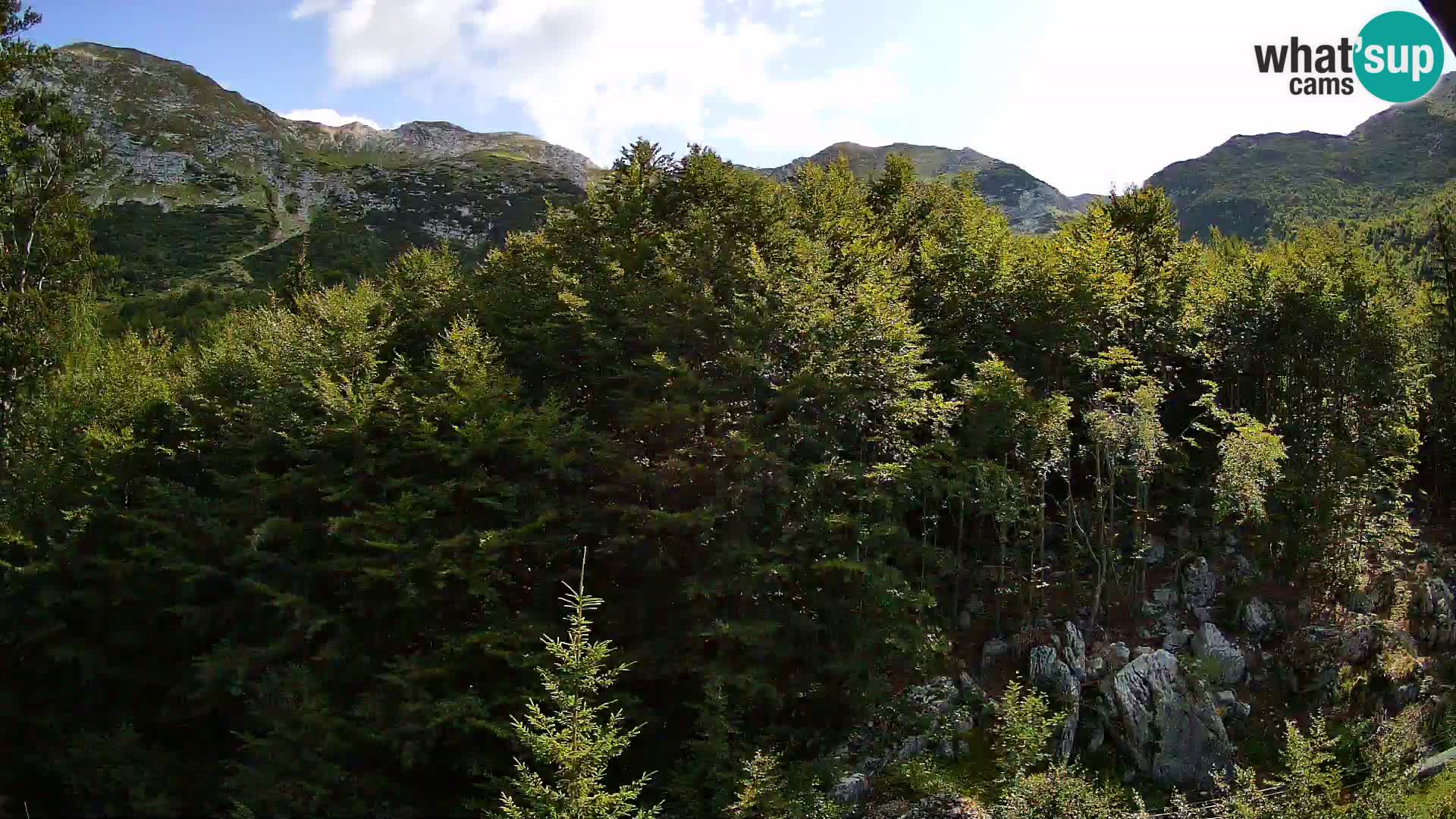 PLANINA RAZOR Live Cam (1315) | vista su Vogel e Globoko