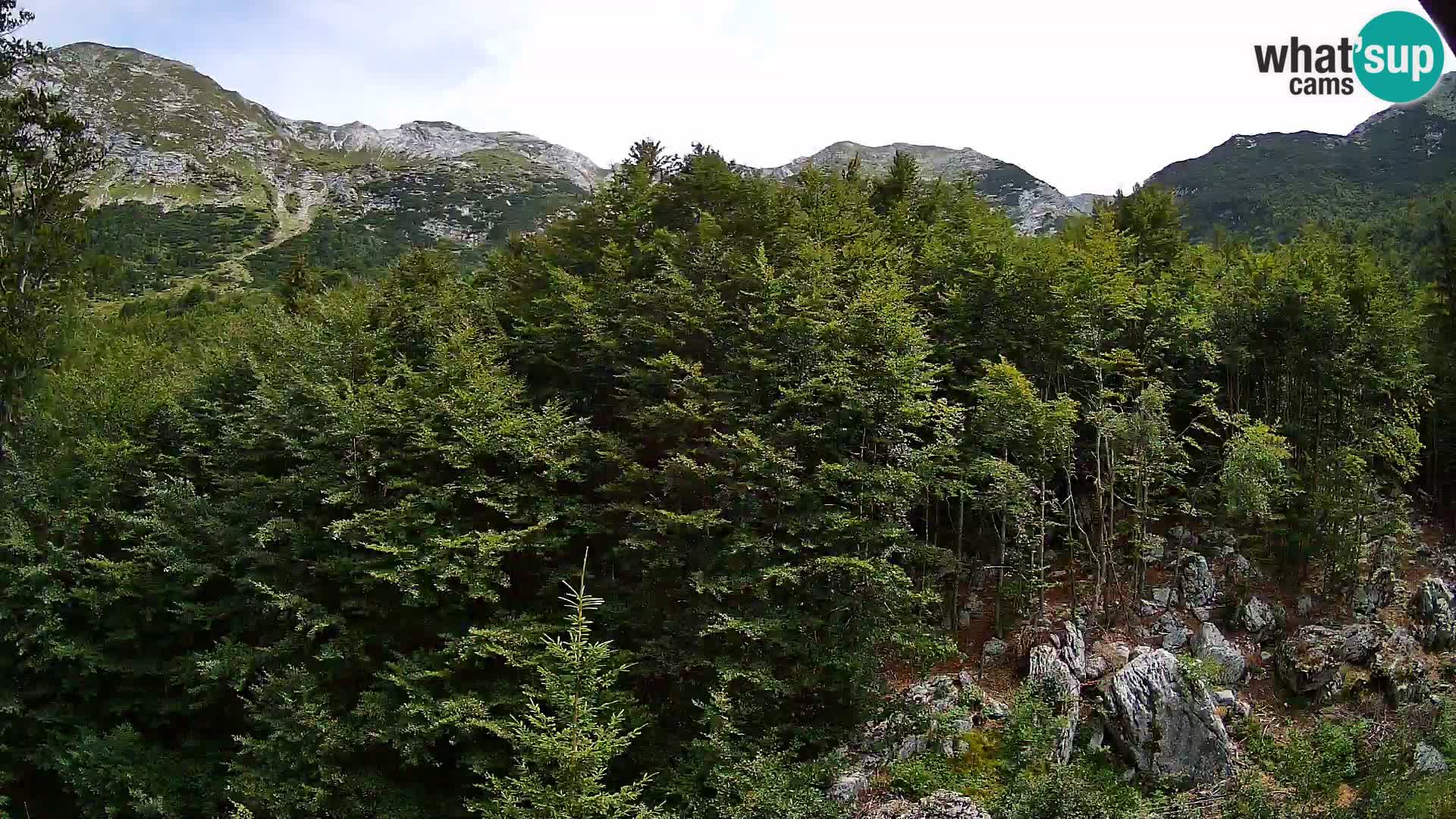 Livecam PLANINA RAZOR (1315) | vue sur Vogel et Globoko