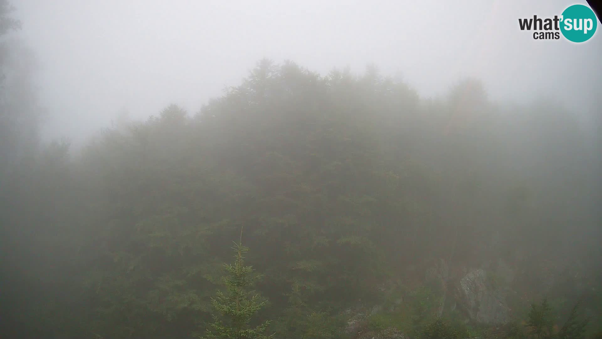 Webcam PLANINA RAZOR (1315) | Blick auf Vogel und Globoko