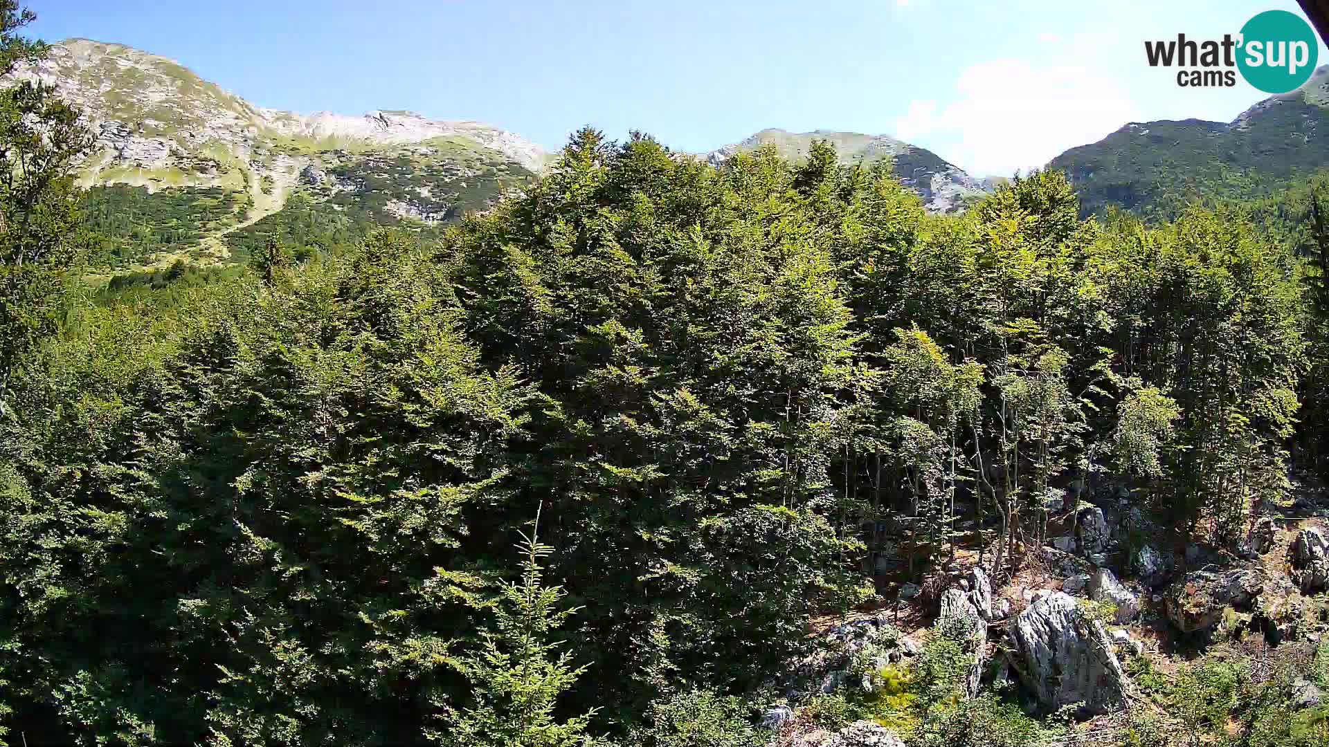 PLANINA RAZOR webcam (1315) | view to Vogel and Globoko