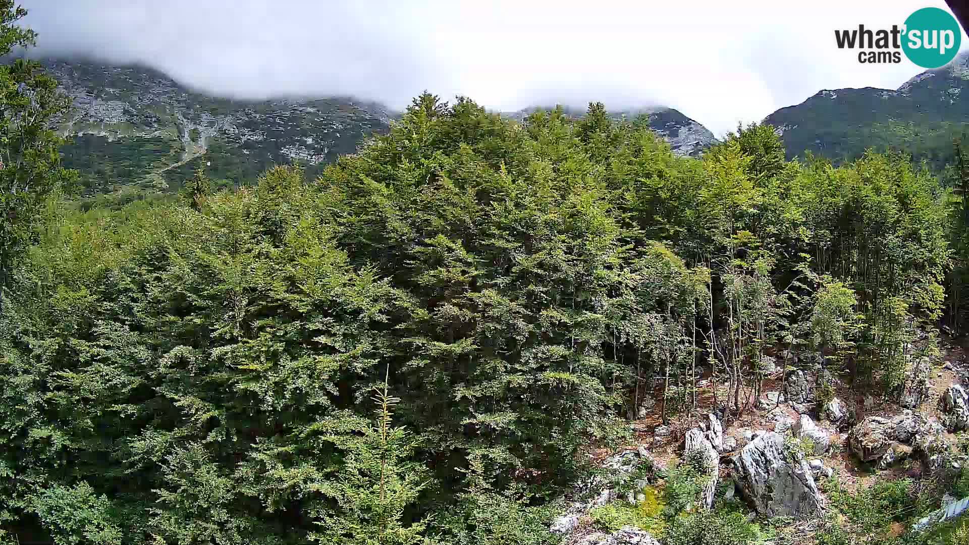 PLANINA RAZOR web kamera (1315) | pogled na Vogel i Globoko
