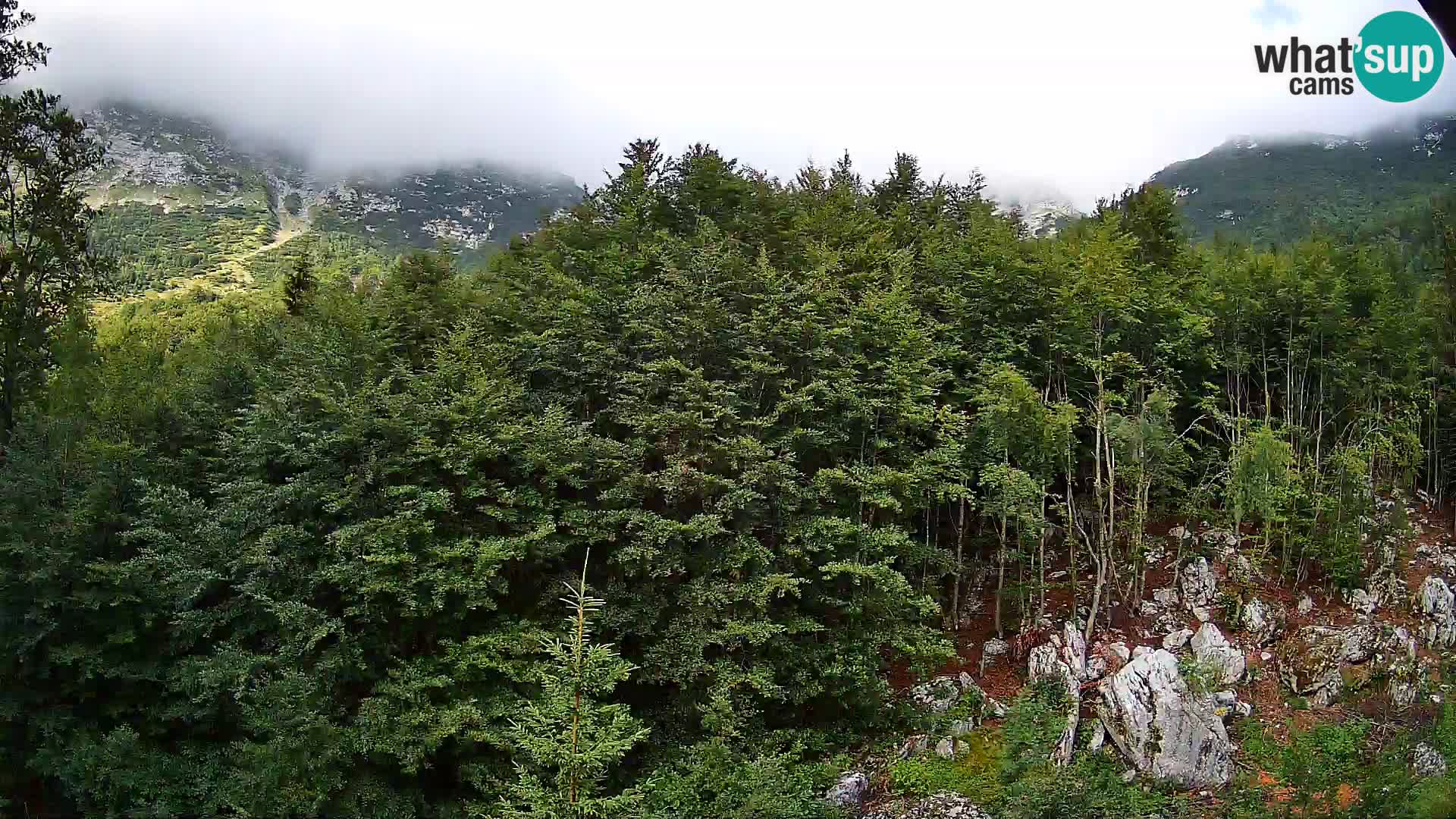 PLANINA RAZOR webcam (1315) | view to Vogel and Globoko