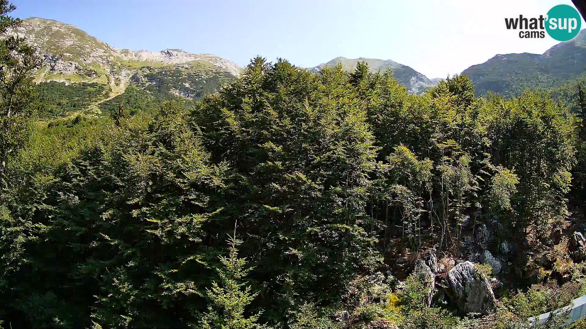 PLANINA RAZOR kamera (1315) | pogled na Vogel in Globoko