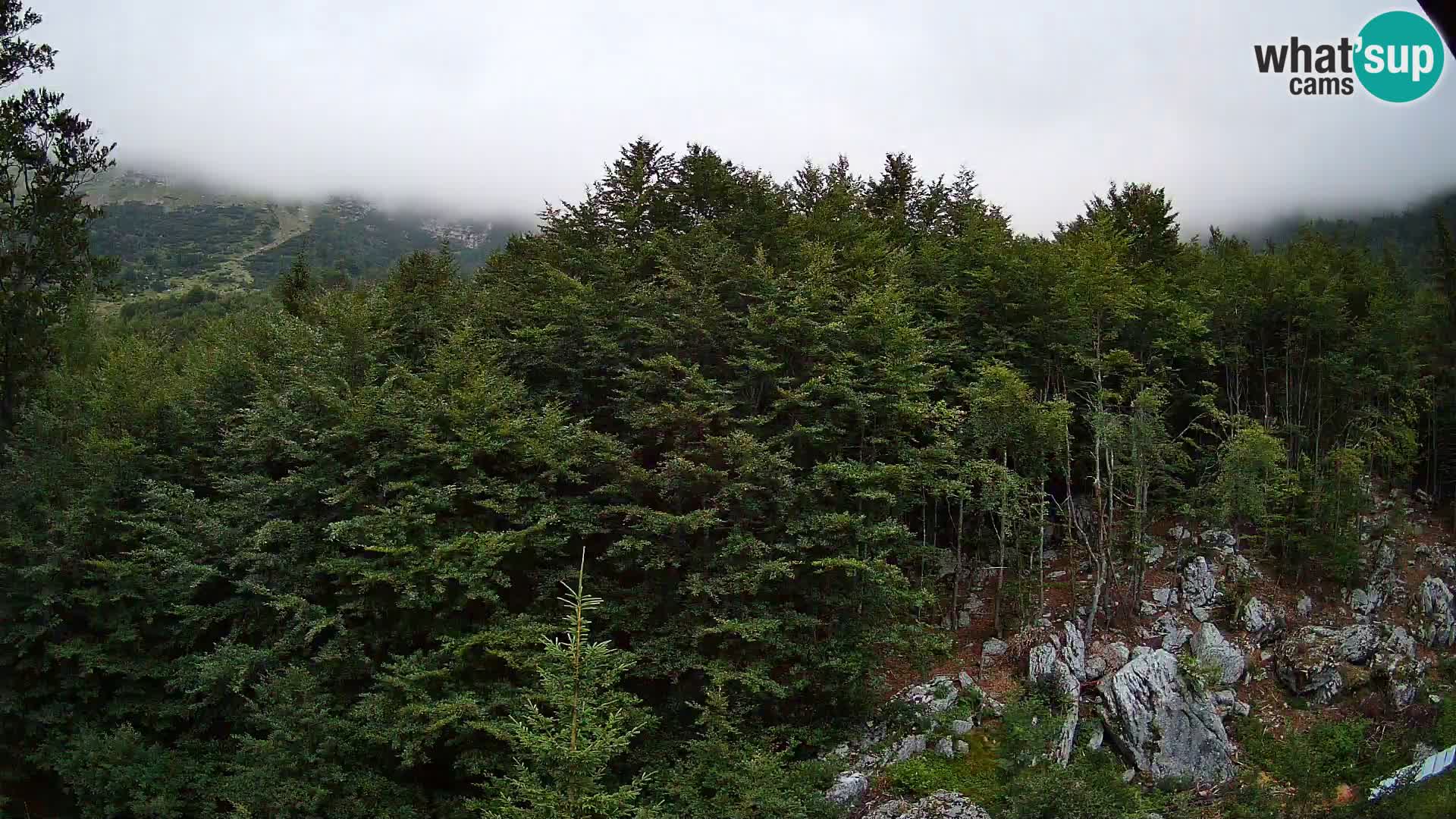 PLANINA RAZOR web kamera (1315) | pogled na Vogel i Globoko