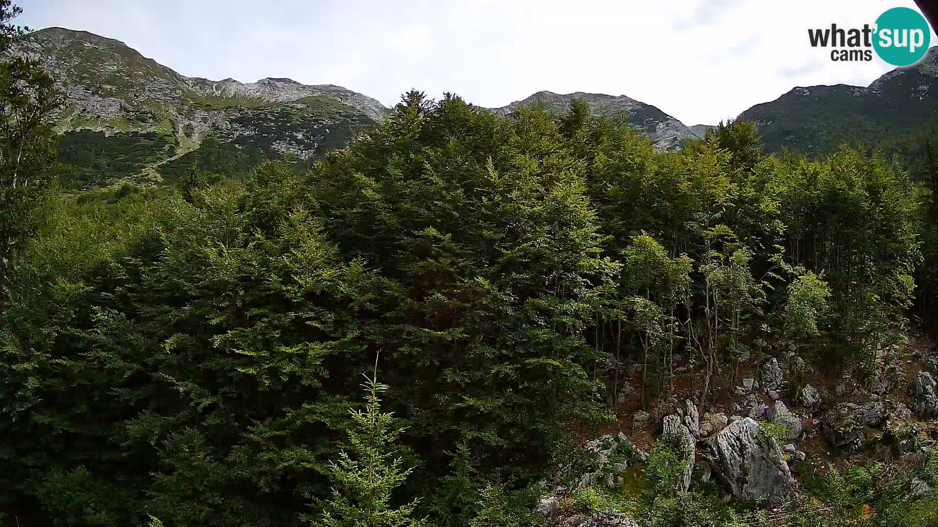 Webcam PLANINA RAZOR (1315) | Blick auf Vogel und Globoko