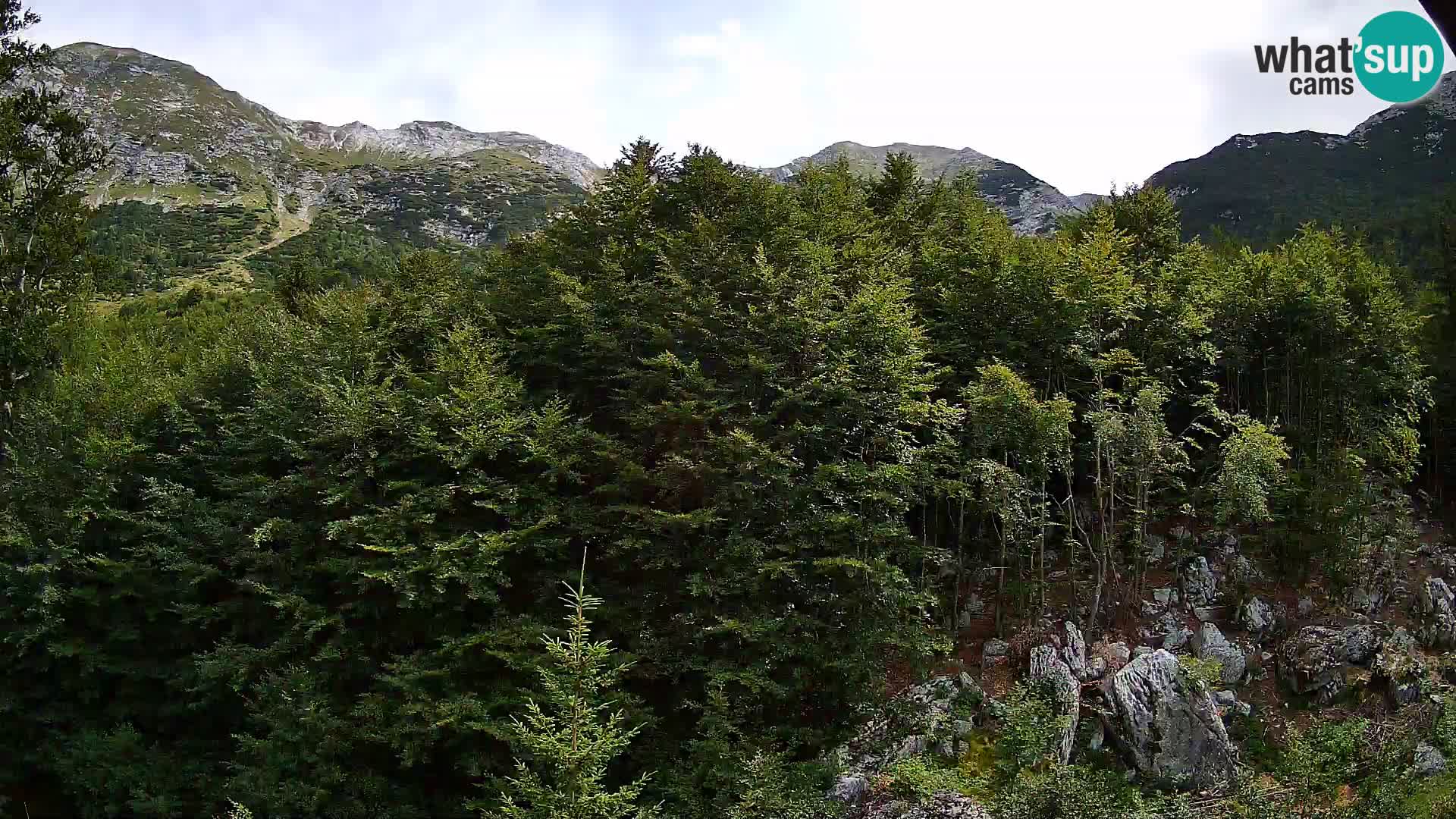 PLANINA RAZOR web kamera (1315) | pogled na Vogel i Globoko