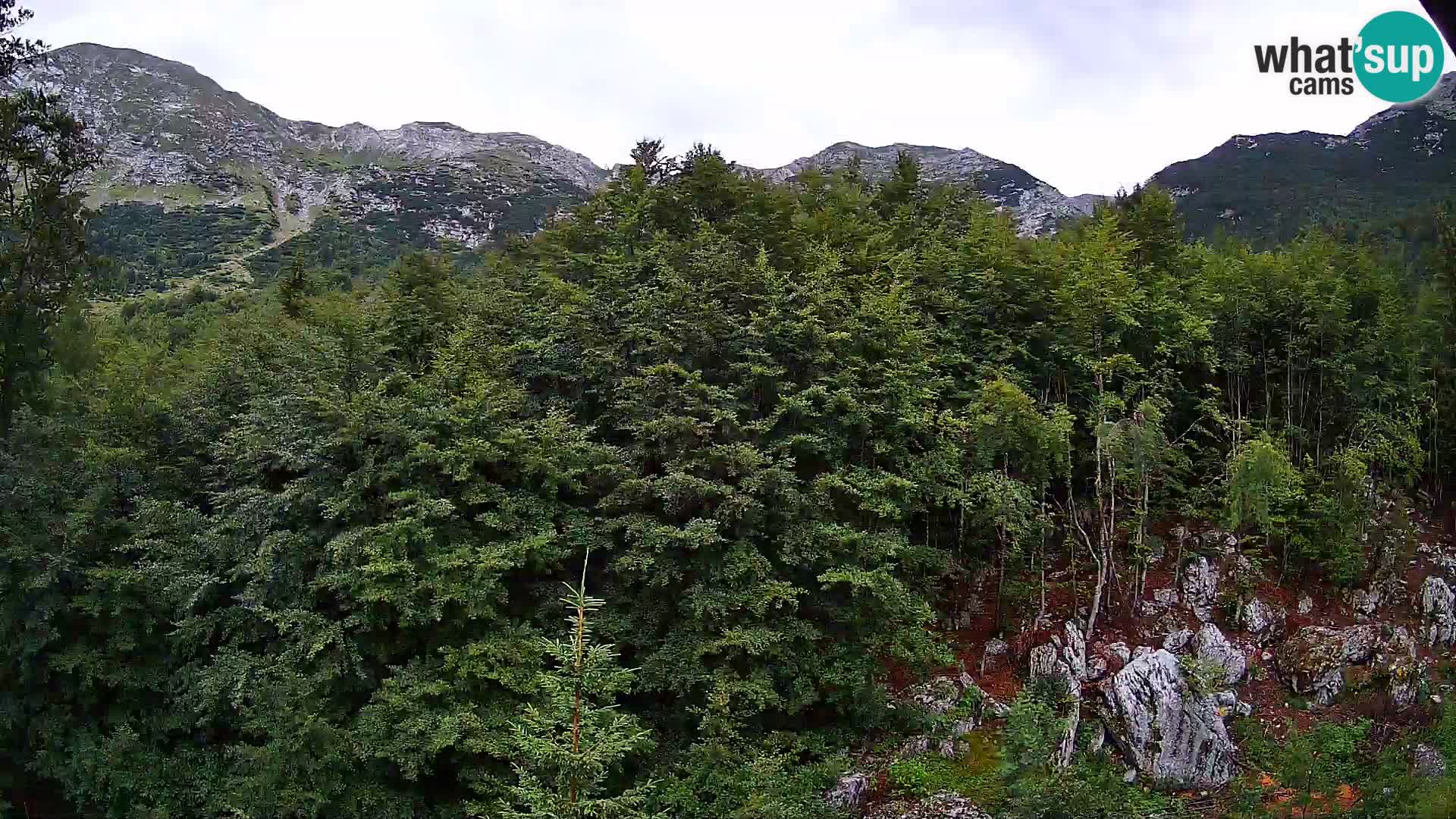 PLANINA RAZOR Live Cam (1315) | vista su Vogel e Globoko