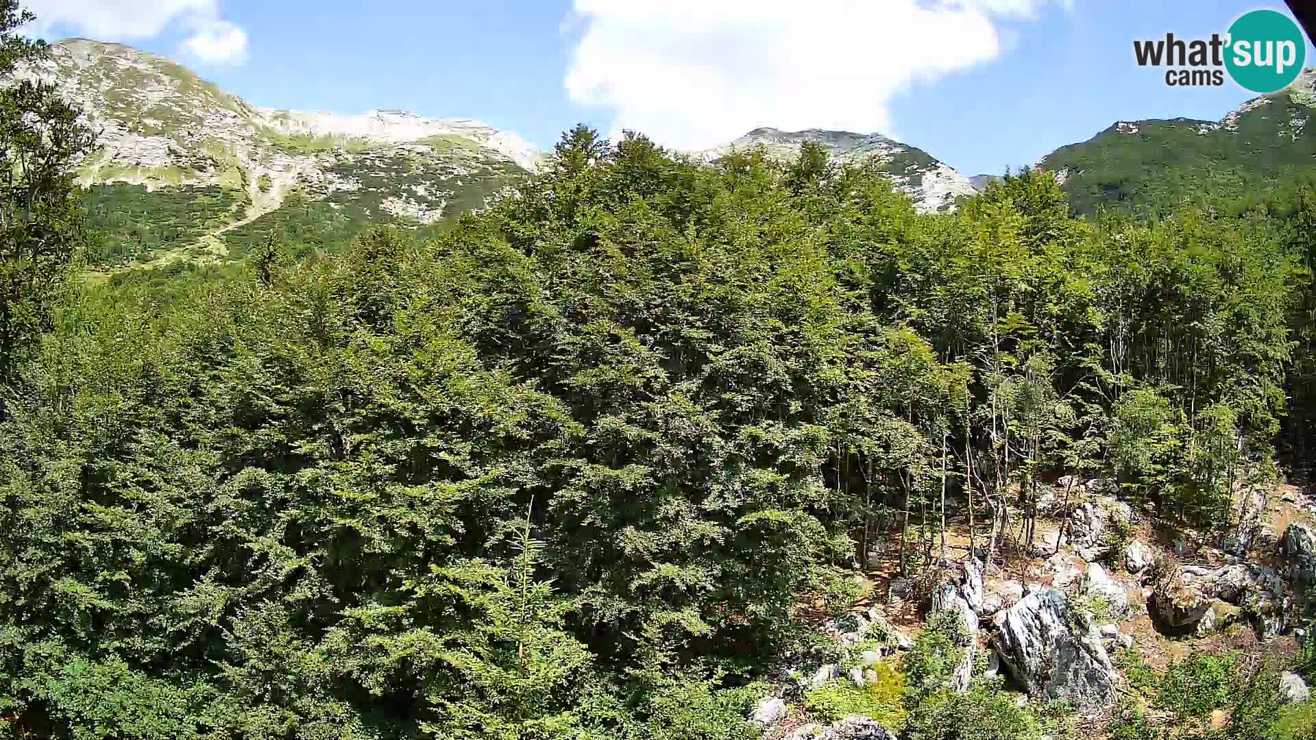 Cámara web PLANINA RAZOR (1315) | vista a Vogel y Globoko