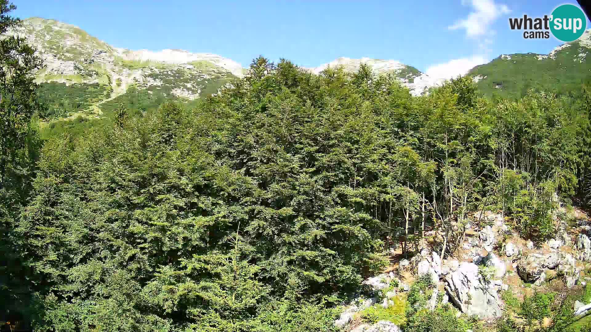 Webcam PLANINA RAZOR (1315) | Blick auf Vogel und Globoko