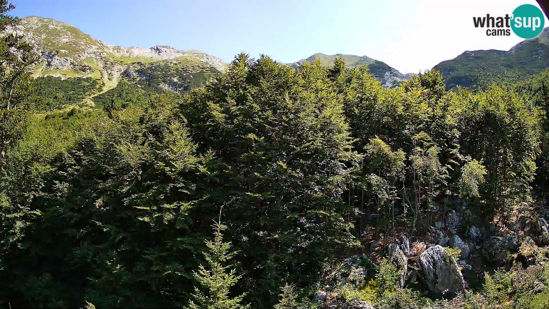 PLANINA RAZOR Live Cam (1315) | vista su Vogel e Globoko