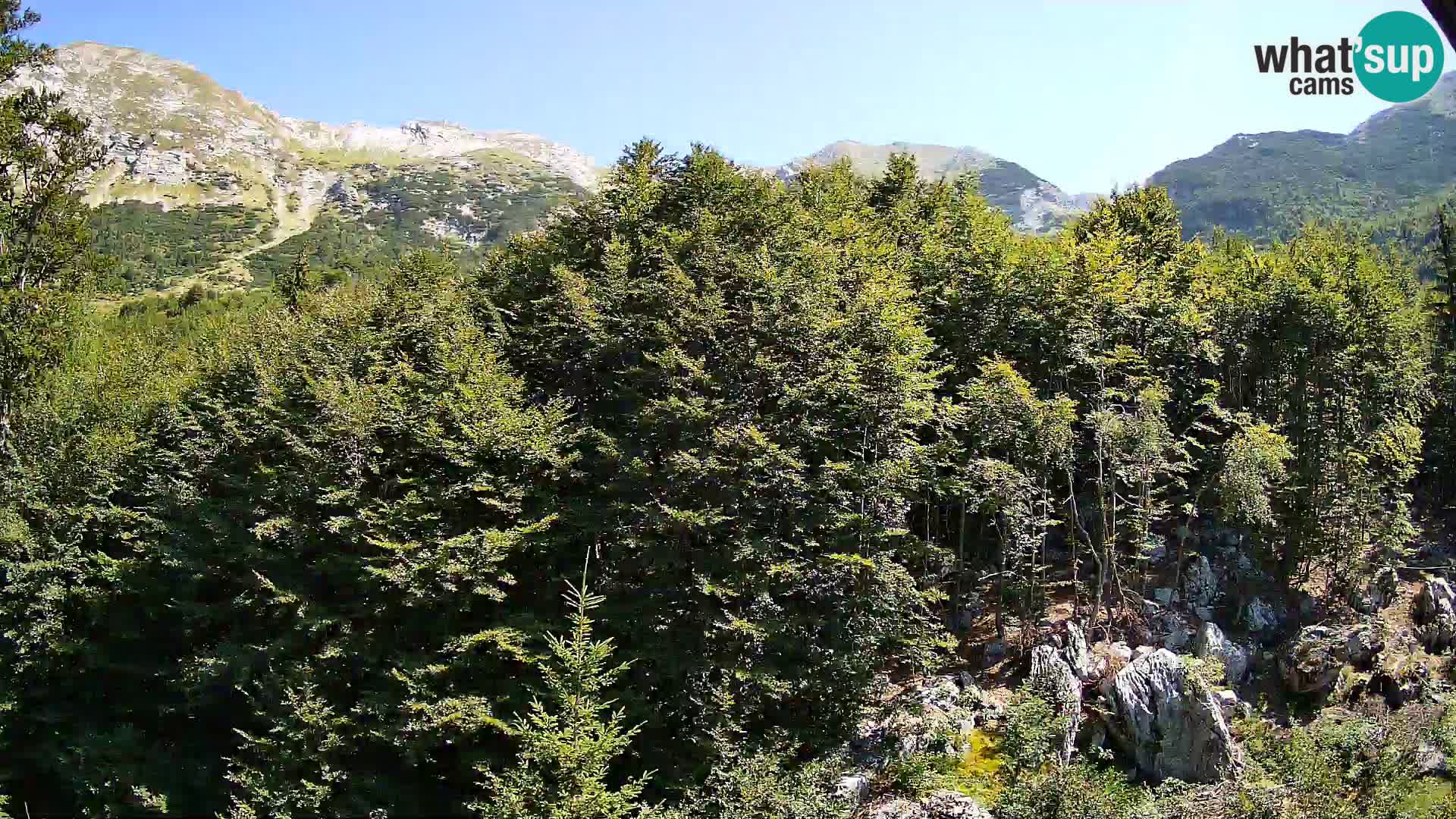 Webcam PLANINA RAZOR (1315) | Blick auf Vogel und Globoko