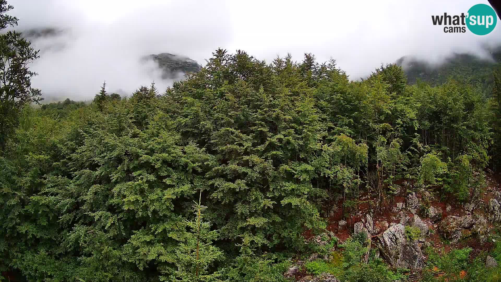 Webcam PLANINA RAZOR (1315) | Blick auf Vogel und Globoko