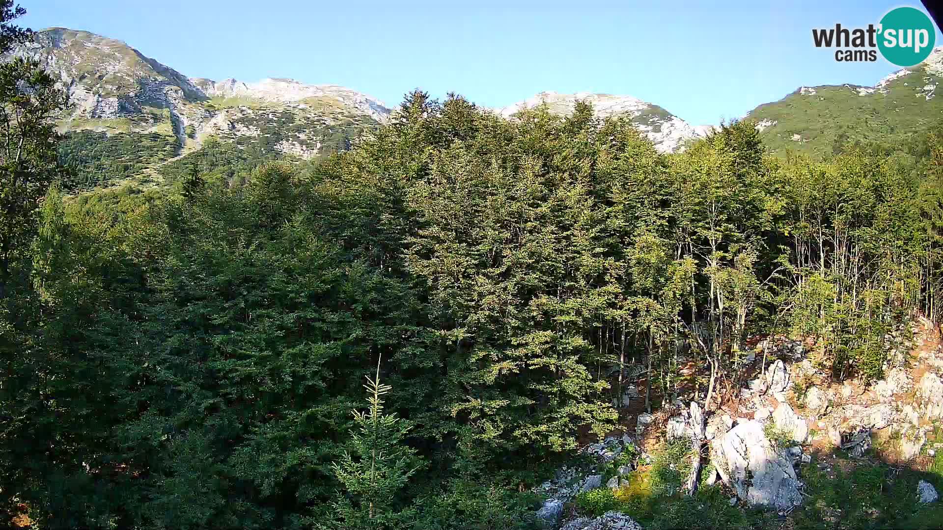 Webcam PLANINA RAZOR (1315) | Blick auf Vogel und Globoko