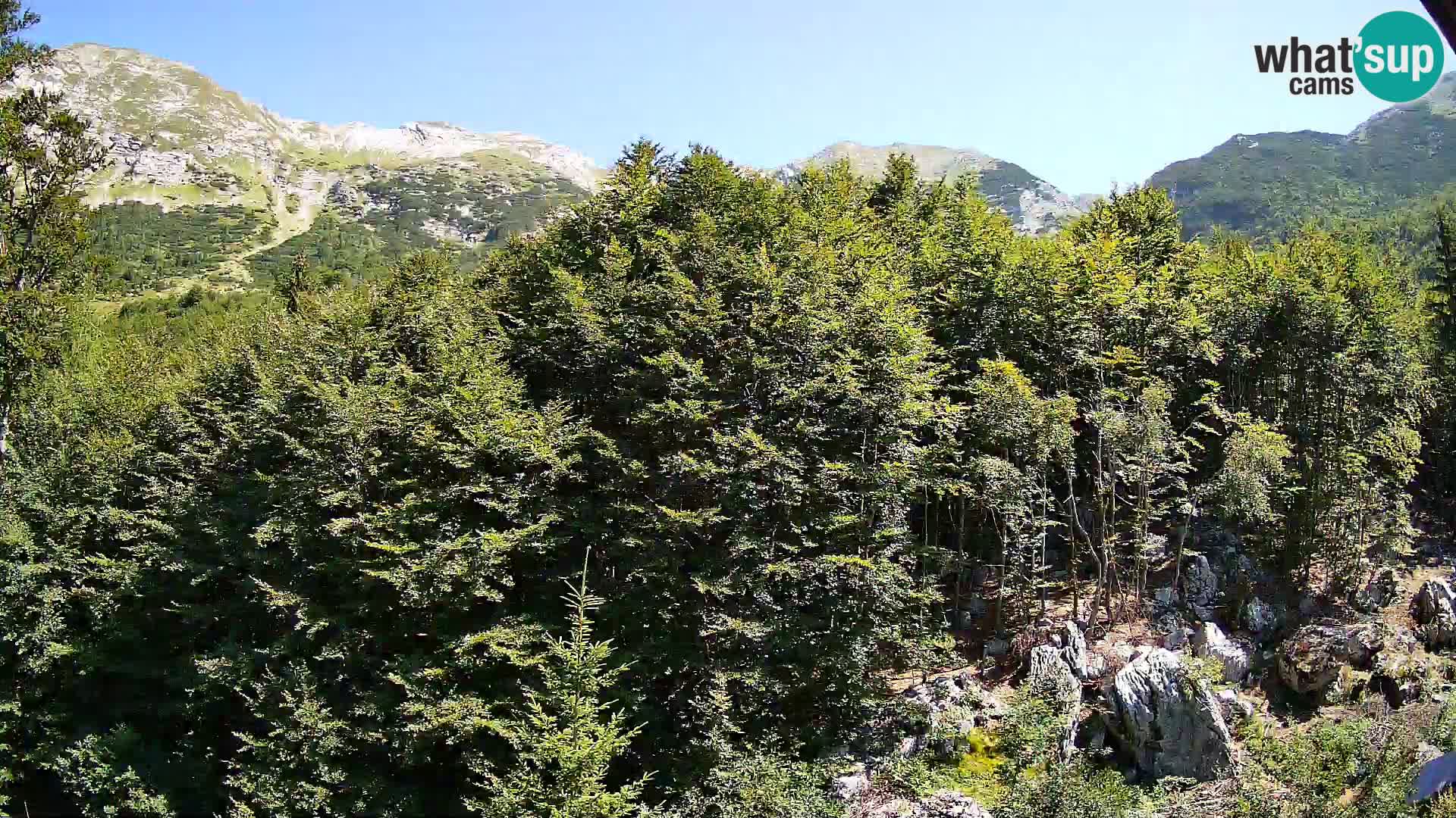 PLANINA RAZOR kamera (1315) | pogled na Vogel in Globoko
