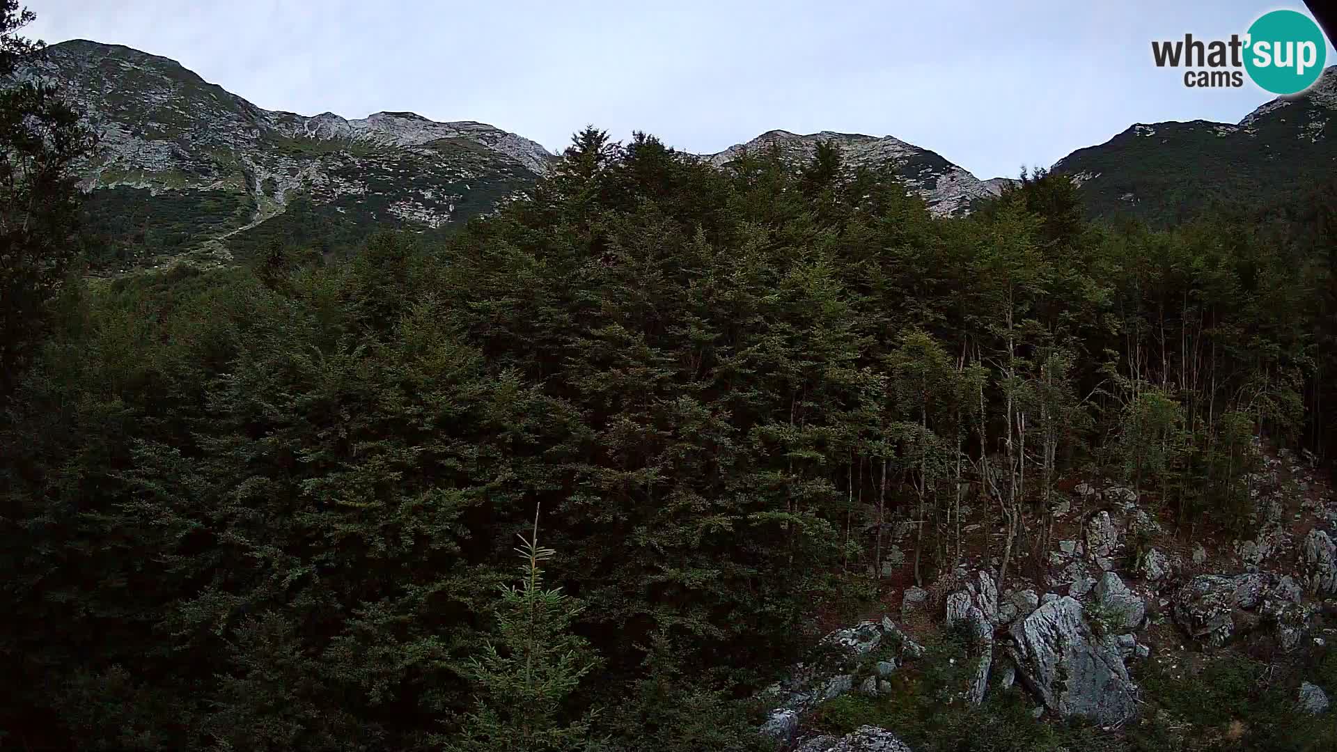 PLANINA RAZOR webcam (1315) | view to Vogel and Globoko