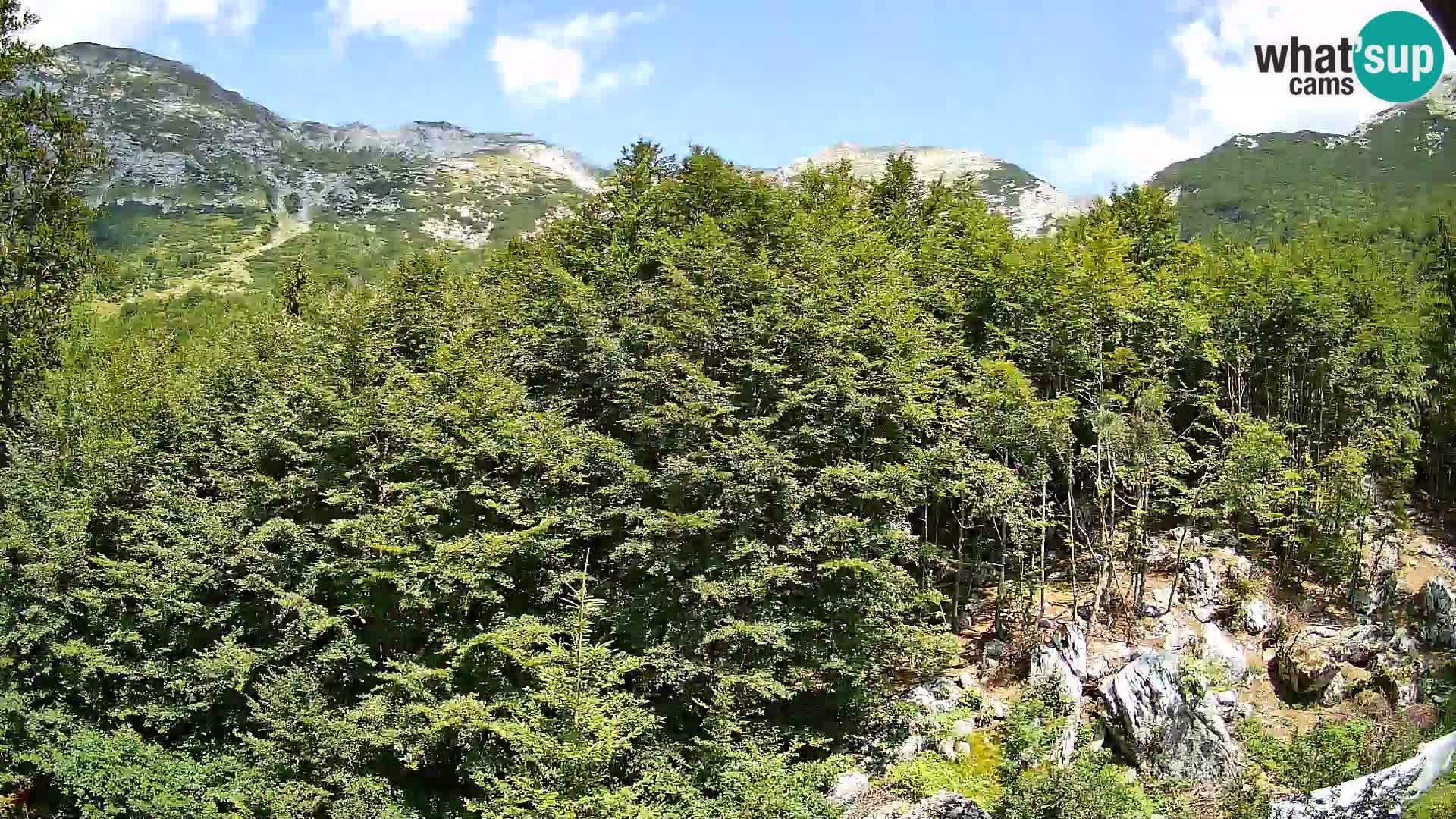 Cámara web PLANINA RAZOR (1315) | vista a Vogel y Globoko