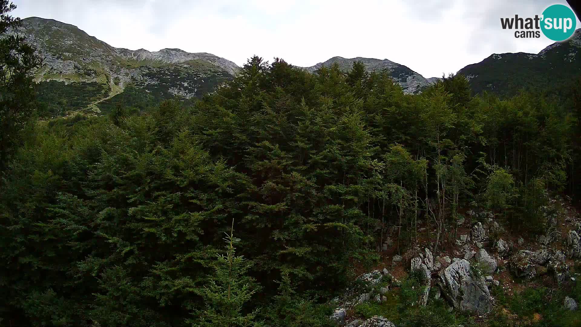 PLANINA RAZOR web kamera (1315) | pogled na Vogel i Globoko