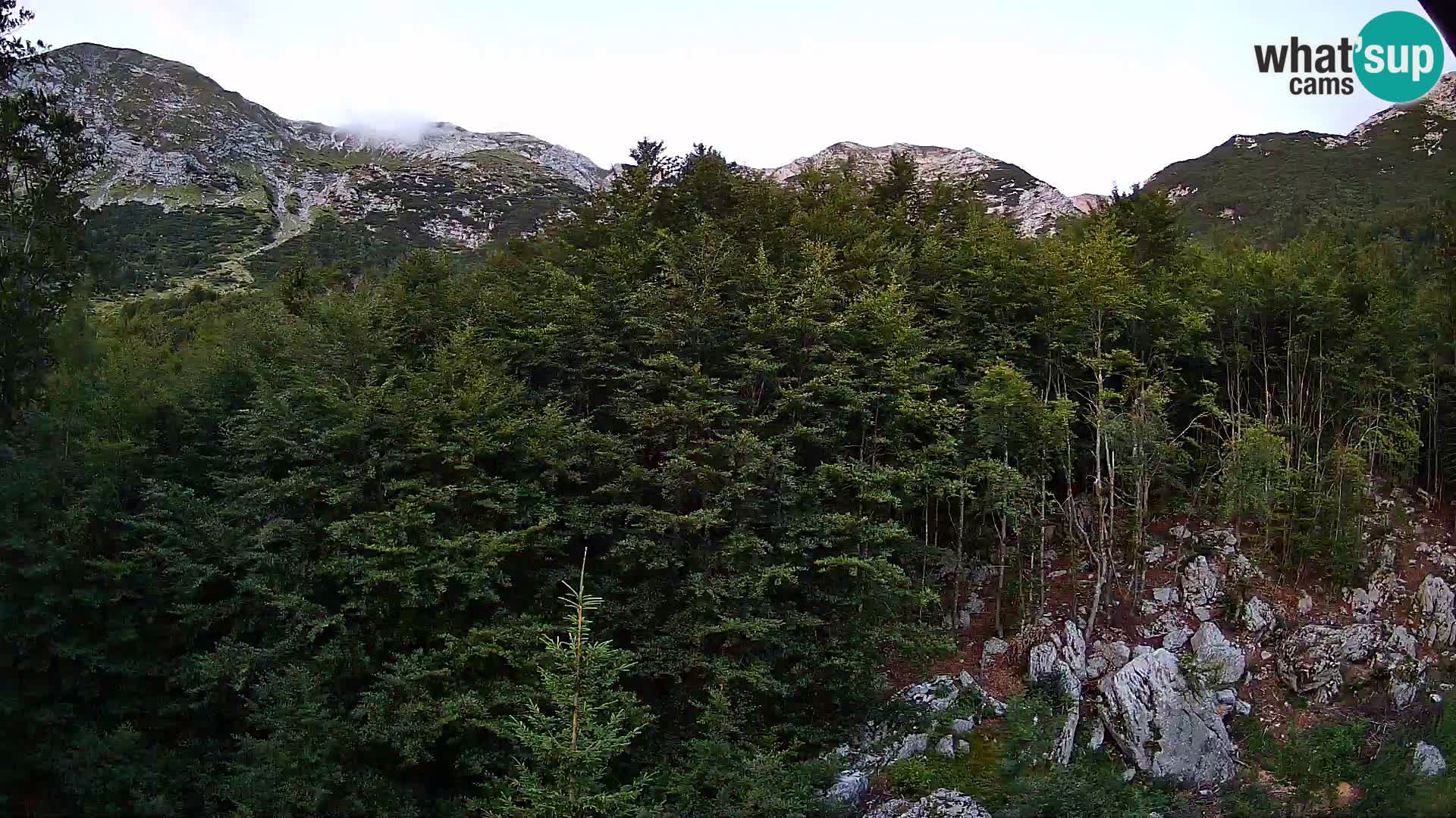 Cámara web PLANINA RAZOR (1315) | vista a Vogel y Globoko